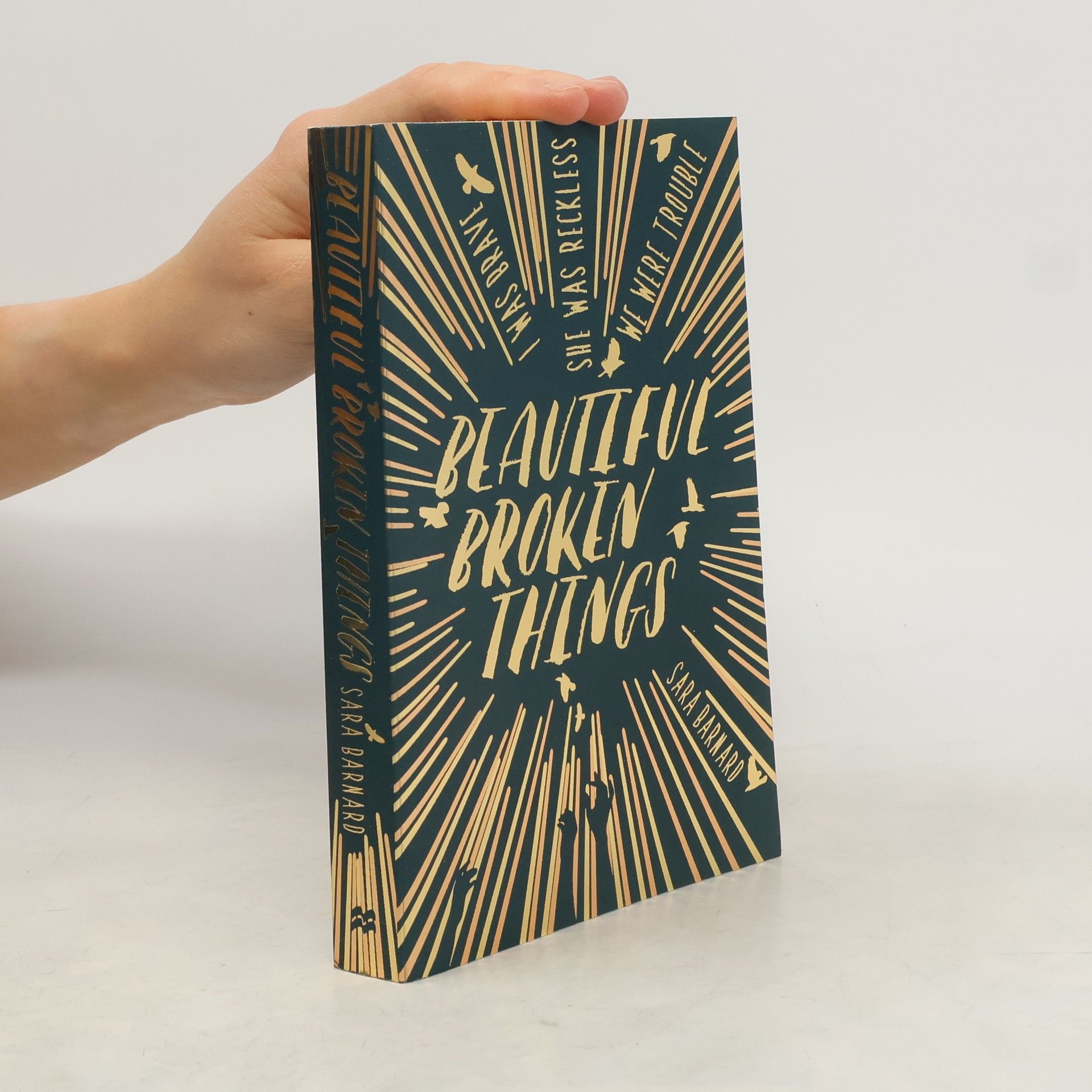 Beautiful broken things