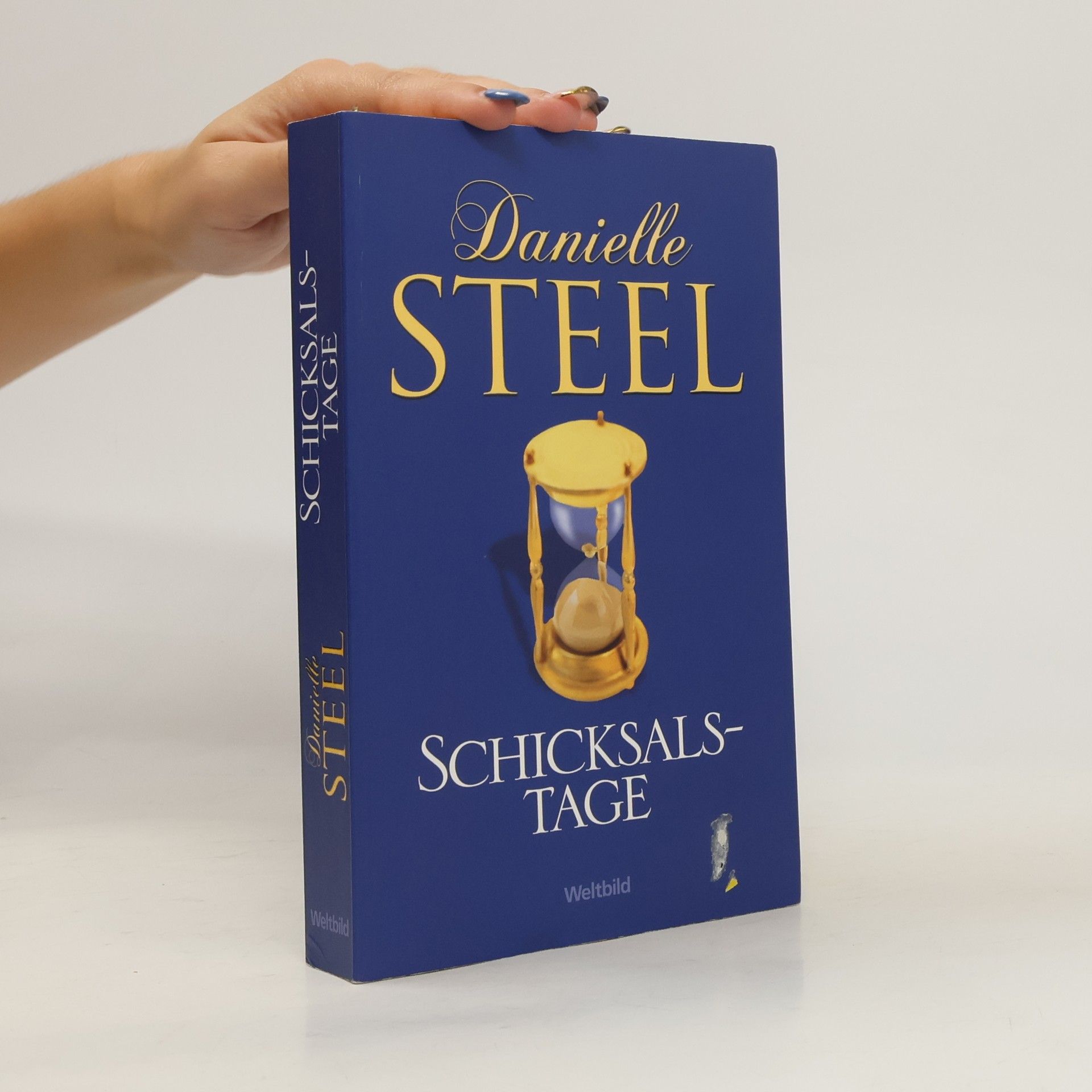 Danielle Steel Schicksalstage