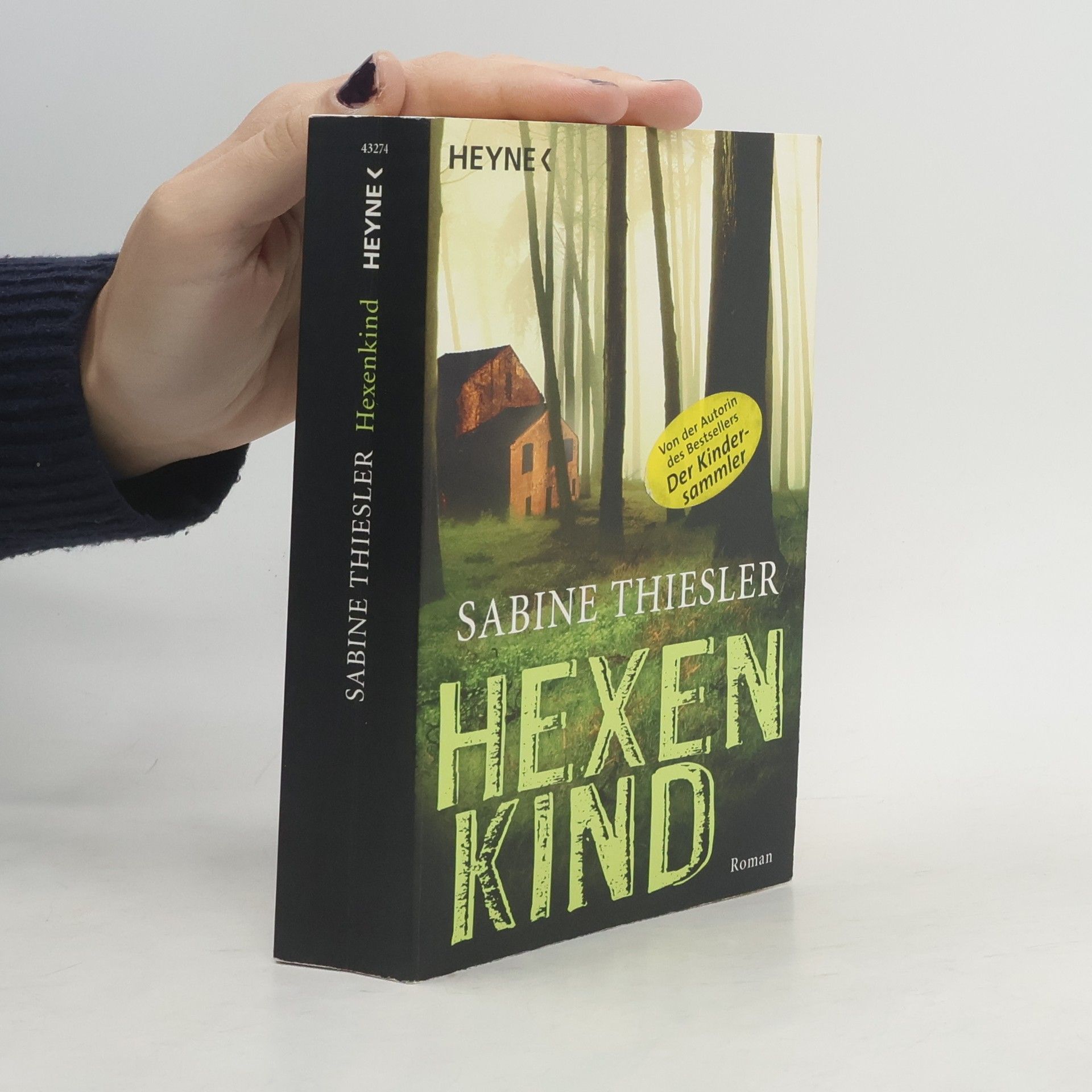 Sabine Thiesler Hexenkind - Roman
