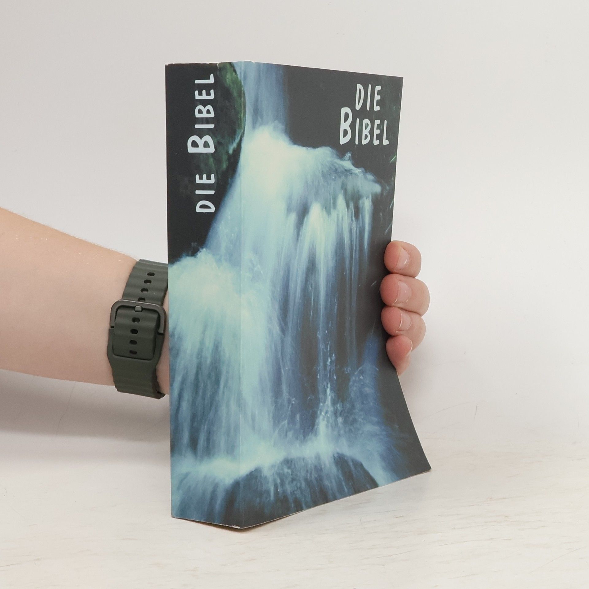 Franz Eugen Schlachter Die Bibel