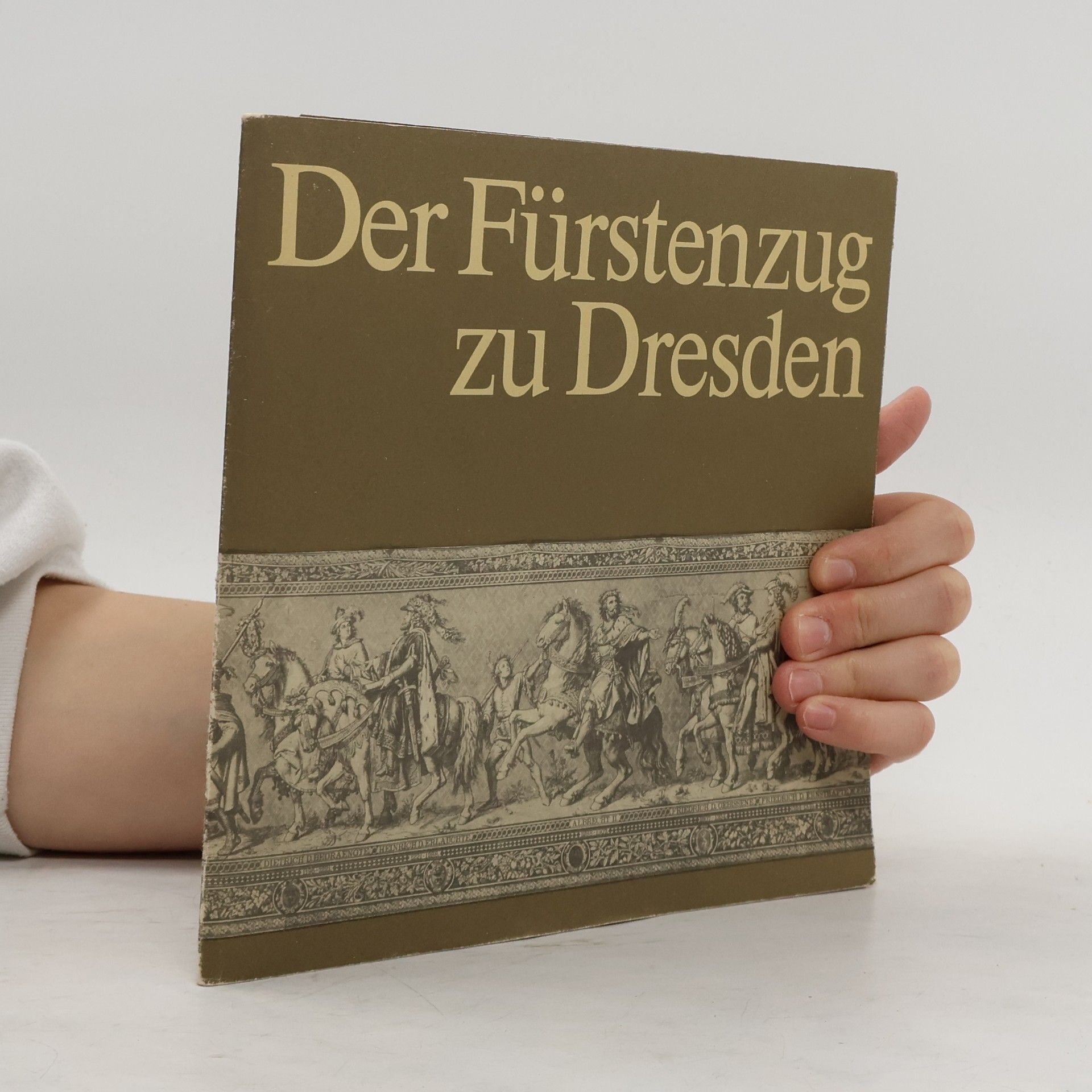 Kolektiv autorů Der Fürstenzug in Dresden