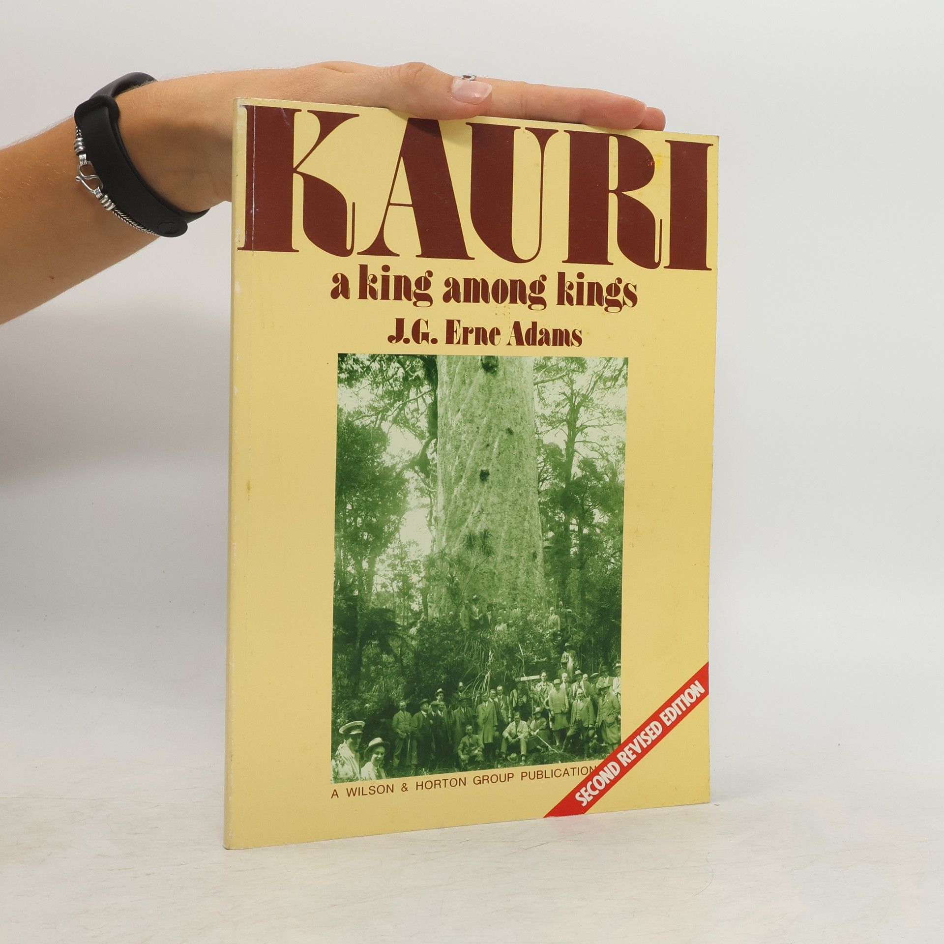 Kauri