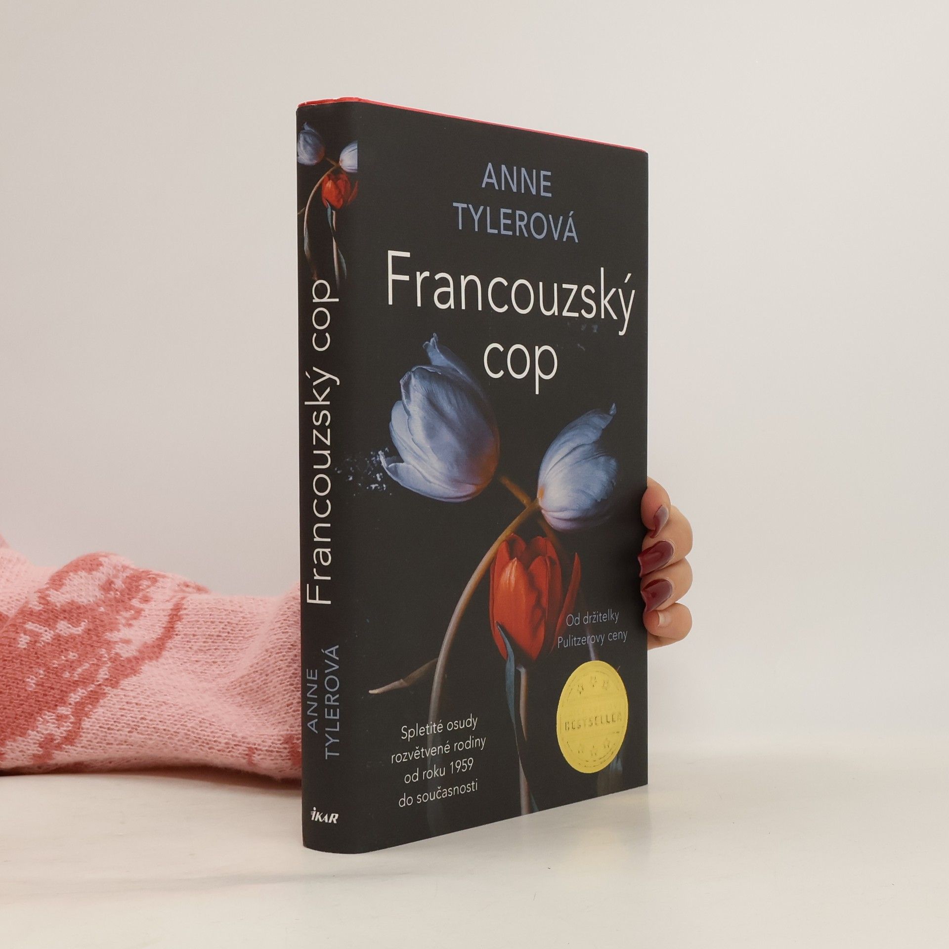 Anne Tyler Francouzský cop