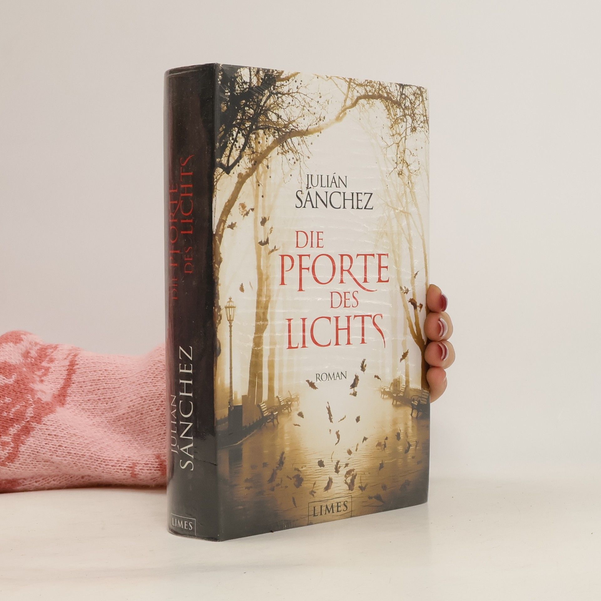 Julian Sanchez Die Pforte des Lichts