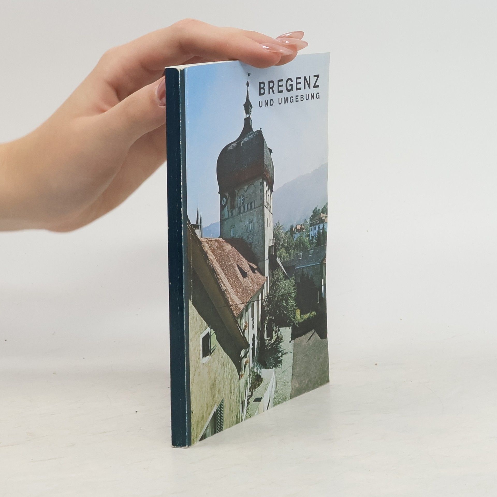 Collectif d'auteurs Bregenz und Umgebung