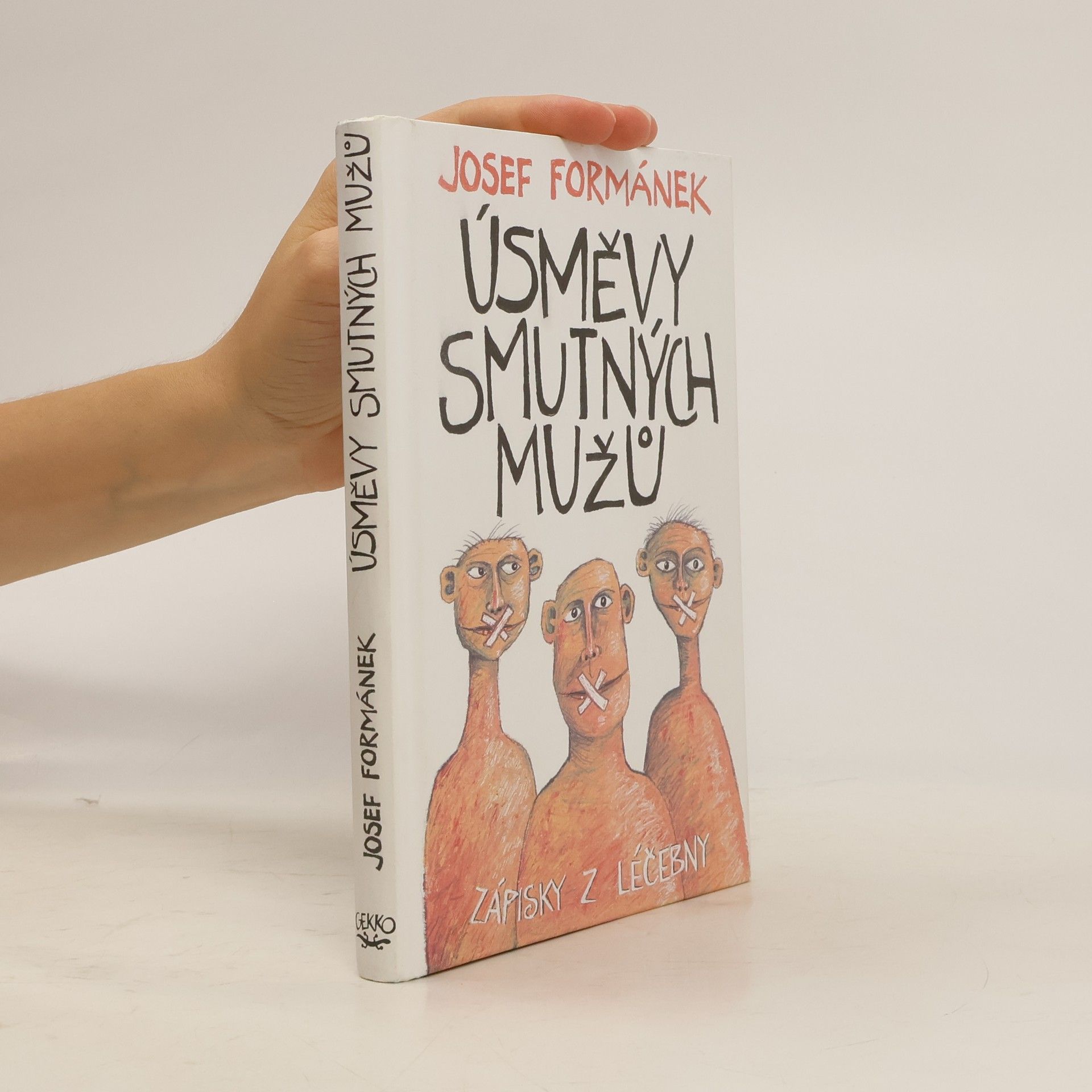 Úsměvy smutných mužů. Zápisky z léčebny