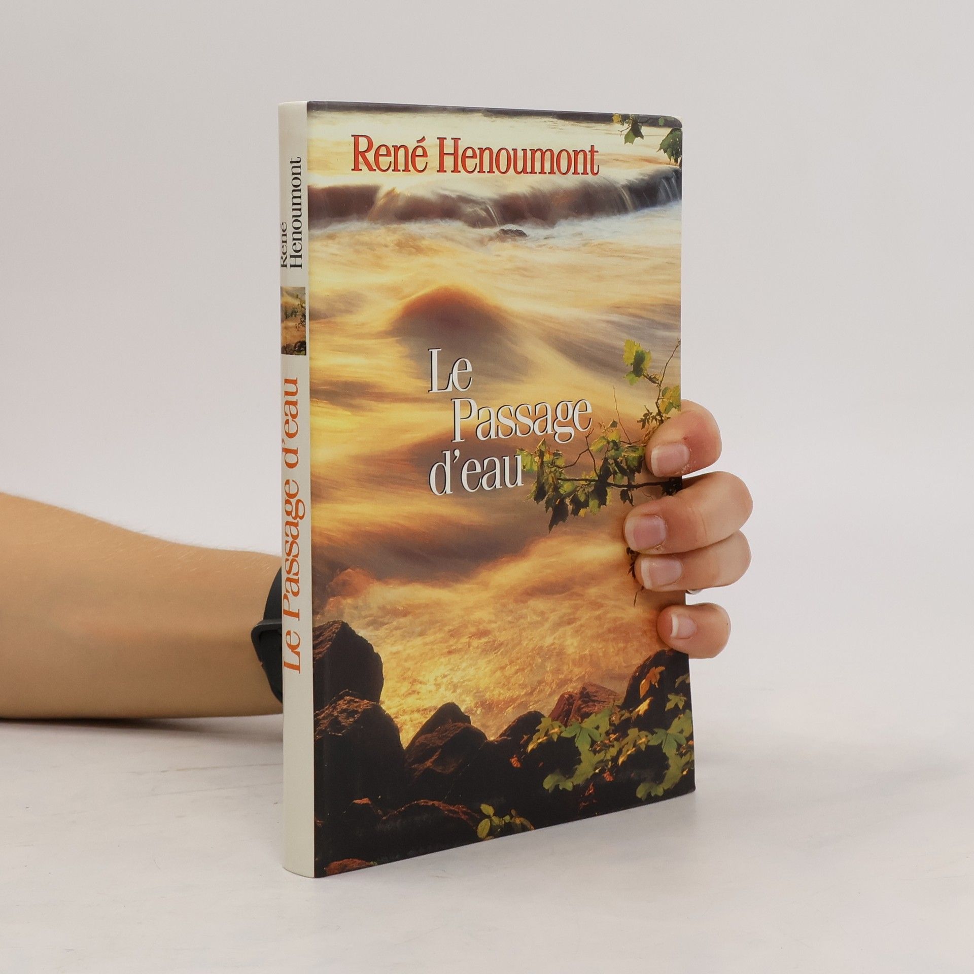 René Henoumont Le passage d'eau