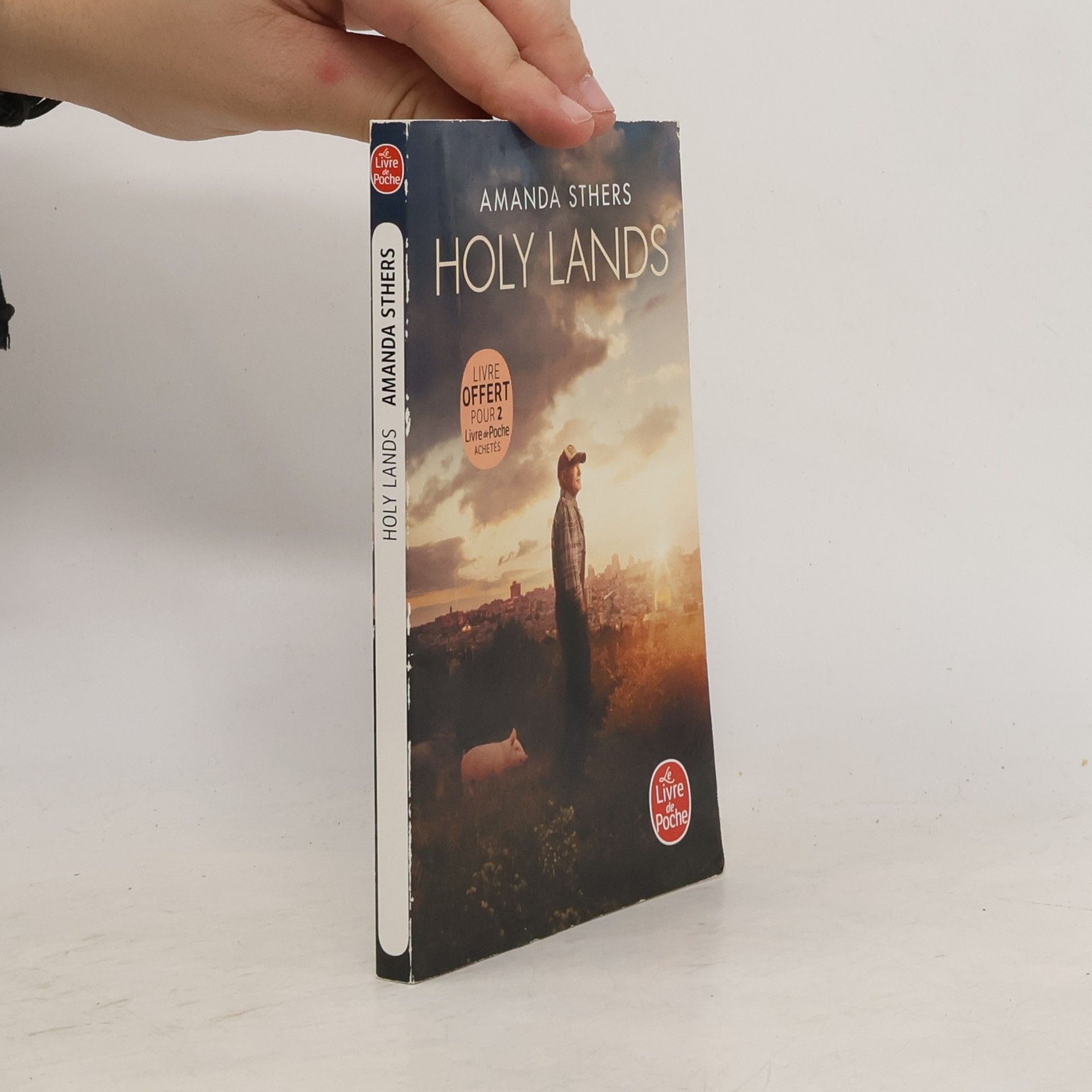 Amanda Sthers Les terres saintes