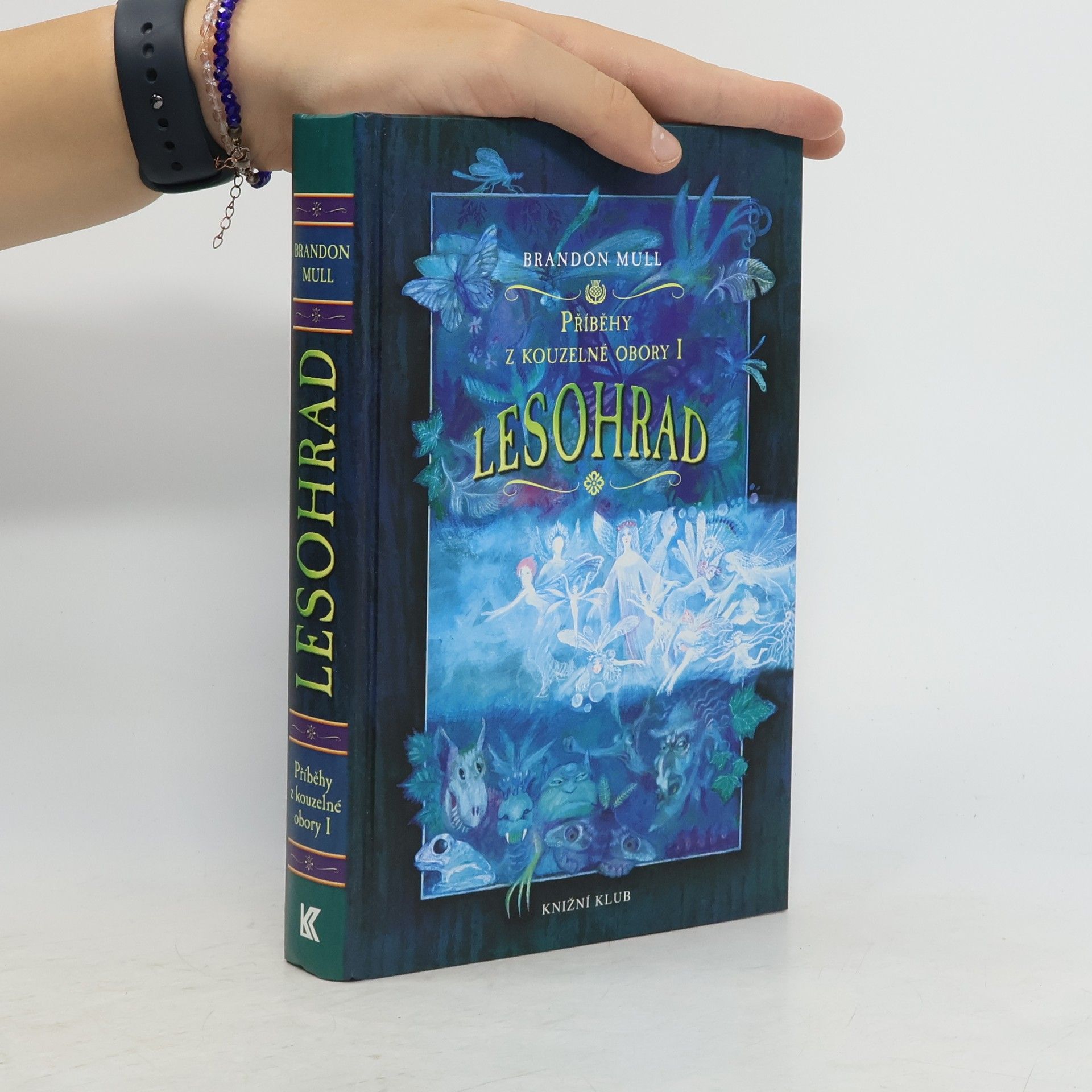 Brandon Mull Příběhy z kouzelné obory 1. Lesohrad