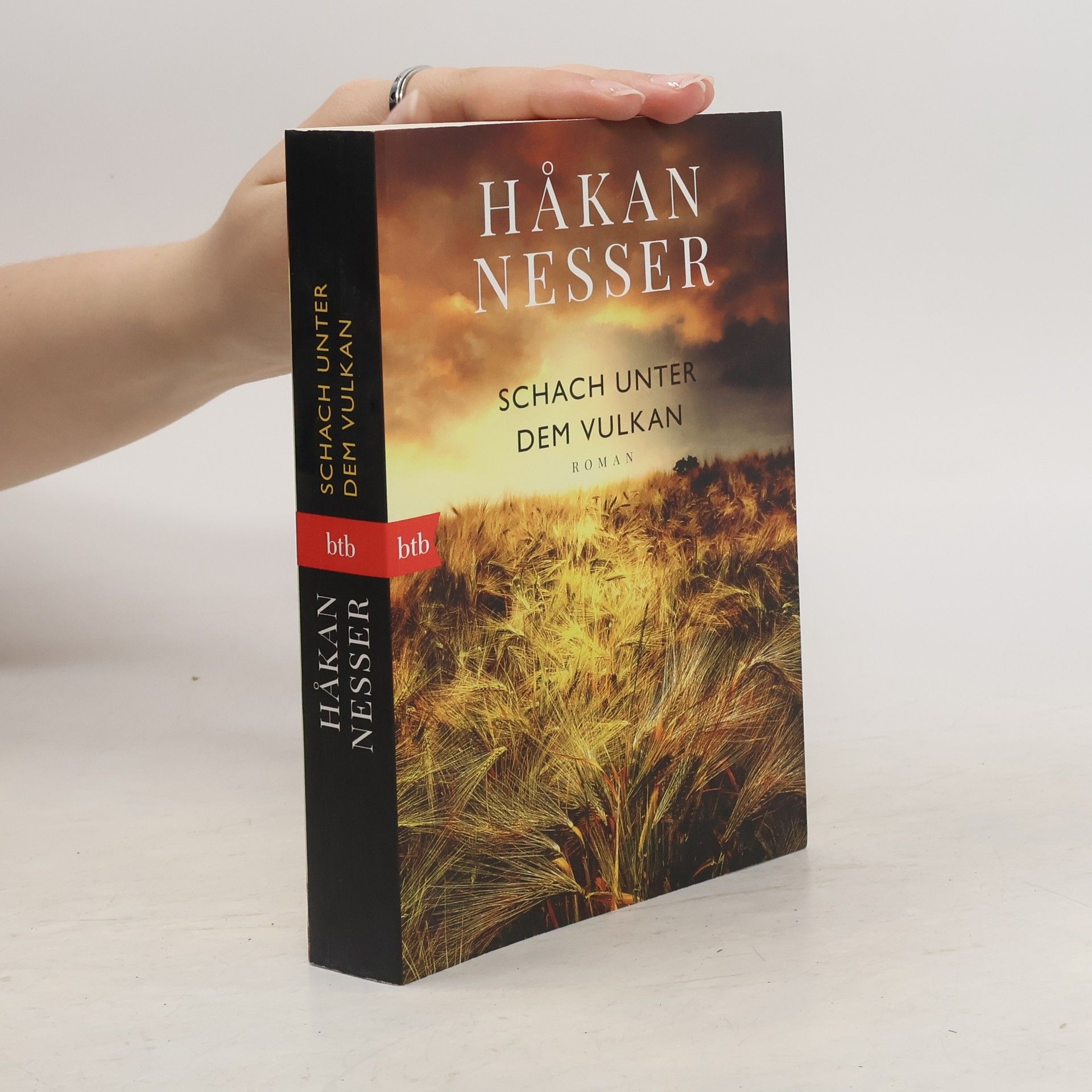 Håkan Nesser Schach unter dem Vulkan