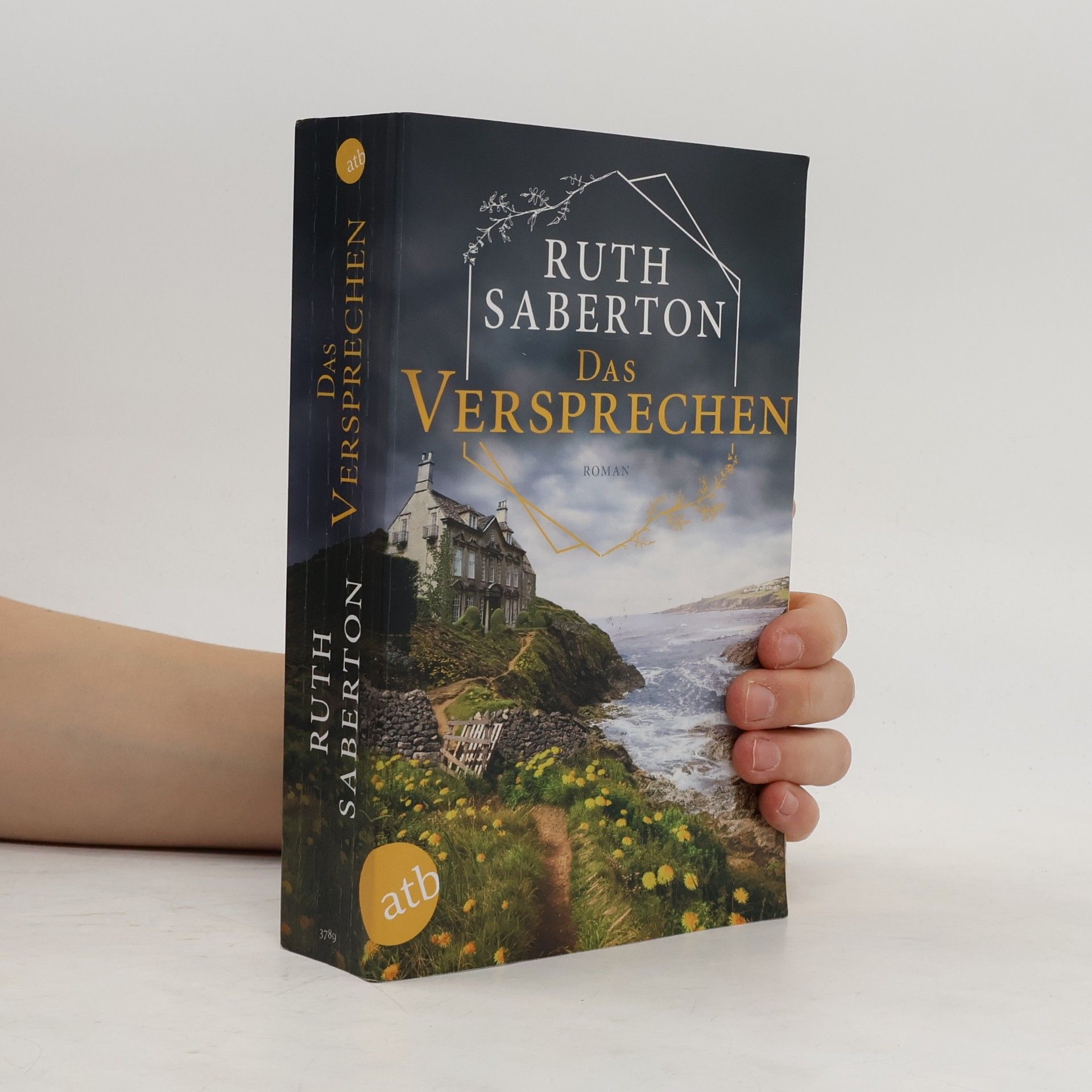 Ruth Saberton Das Versprechen