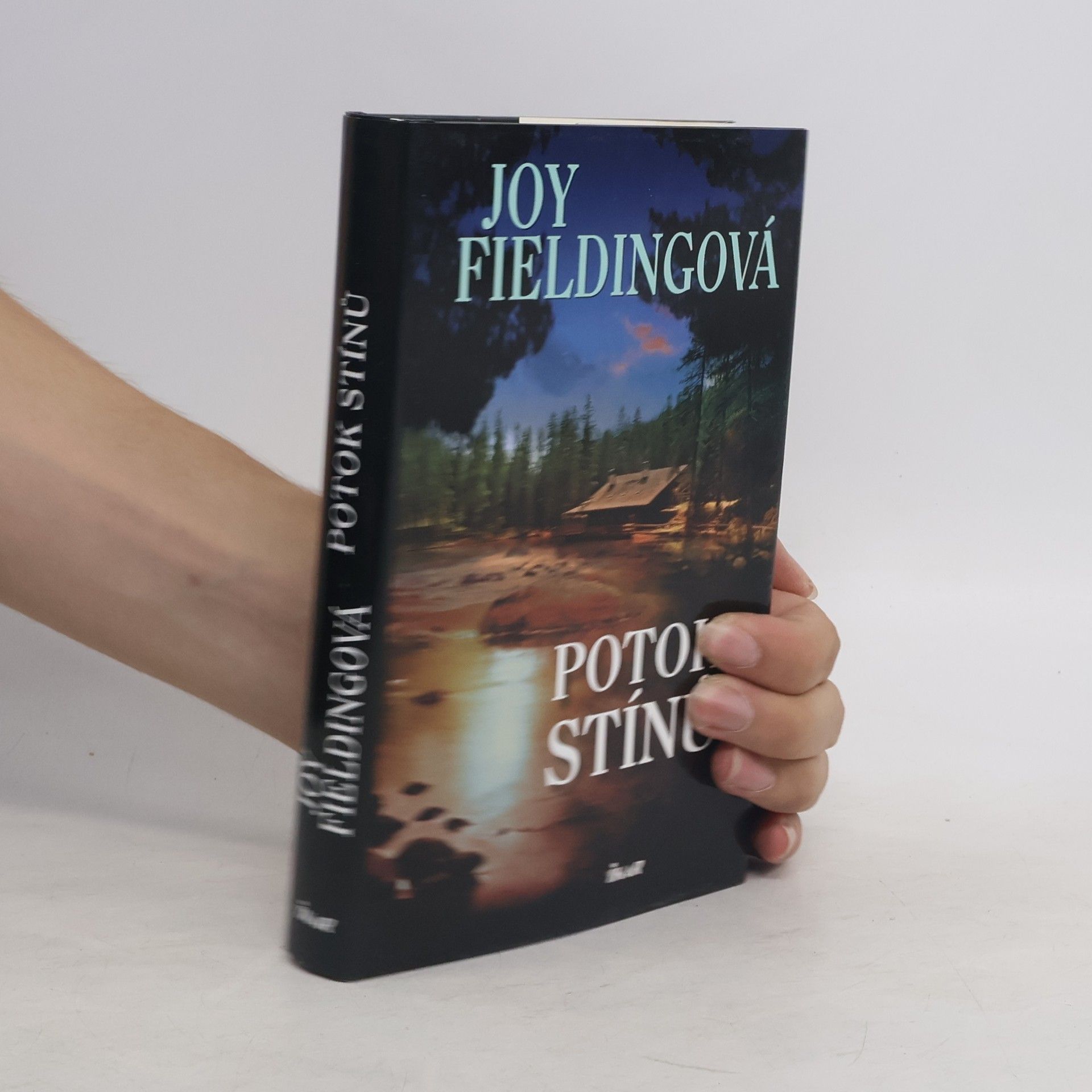 Joy Fielding Potok stínů