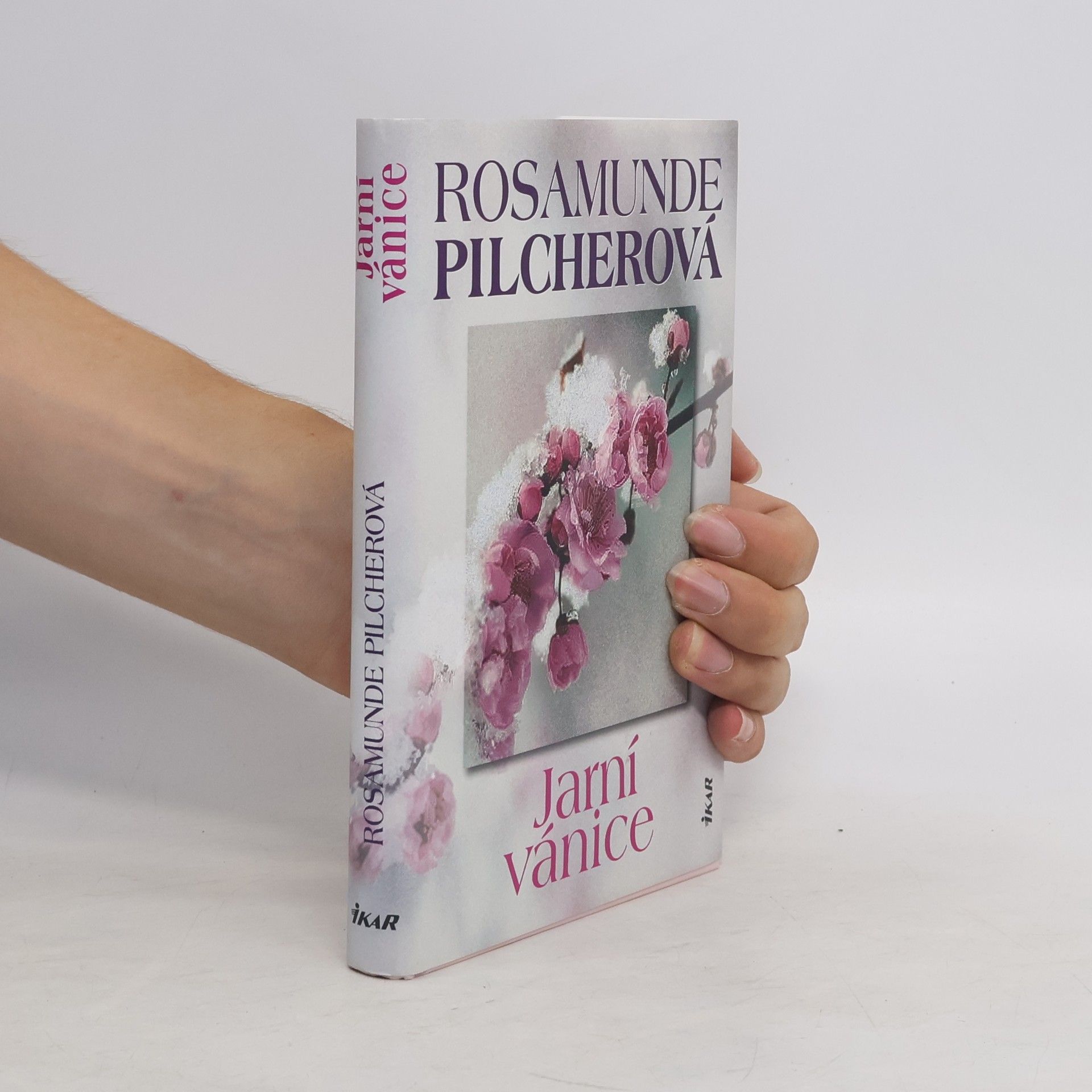 Rosamunde Pilcher Jarní vánice