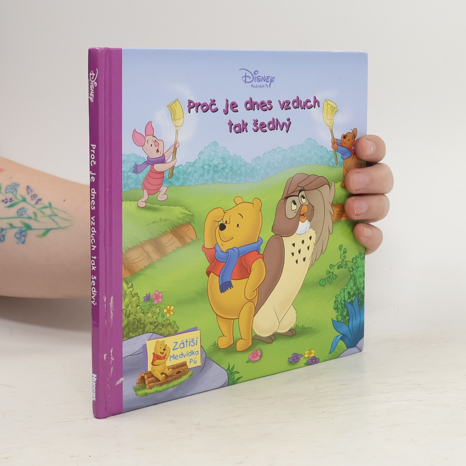 Kolektív autorov Proč je dnes vzduch tak šedivý