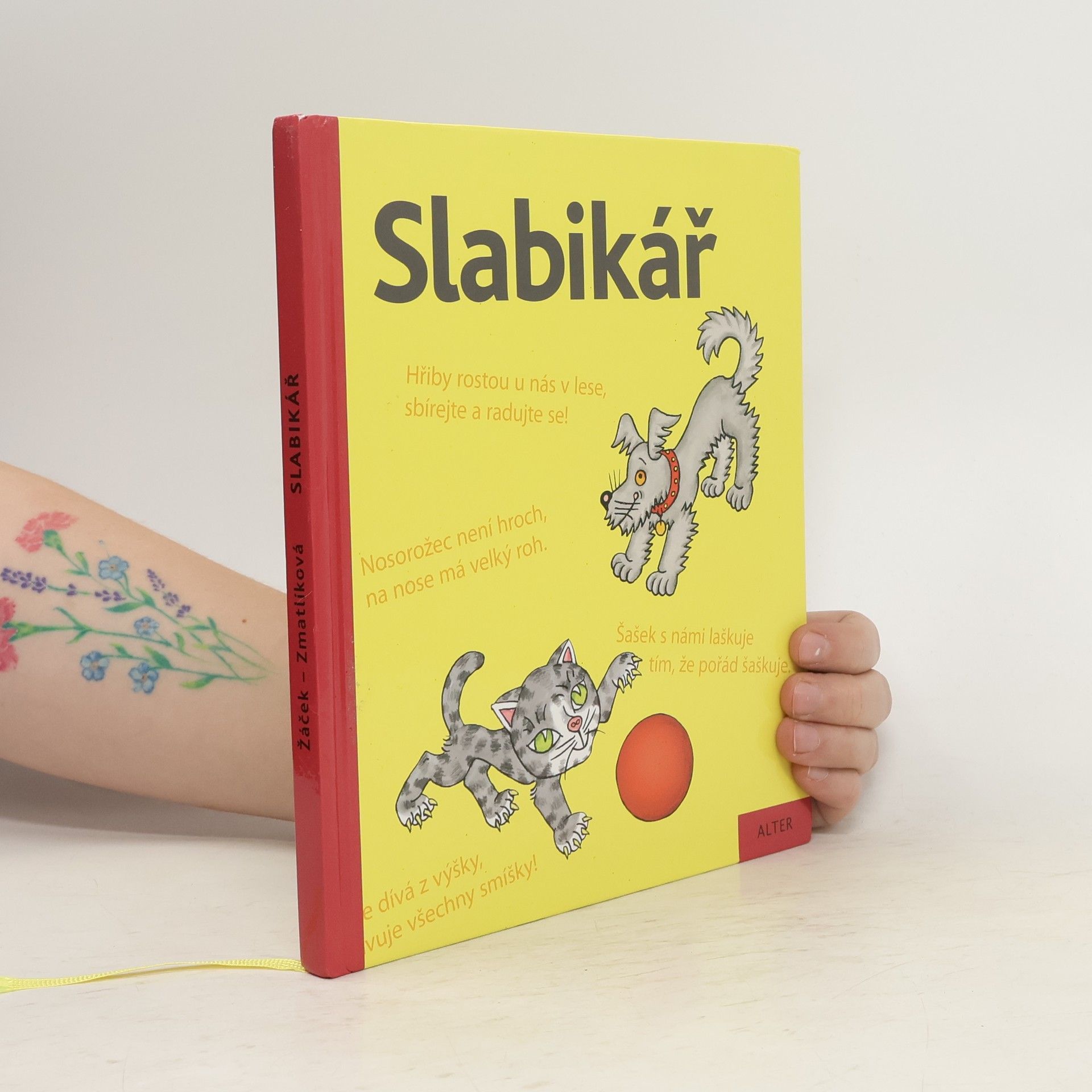 Slabikář : učebnice pro vzdělávací obor Český jazyk a literatura