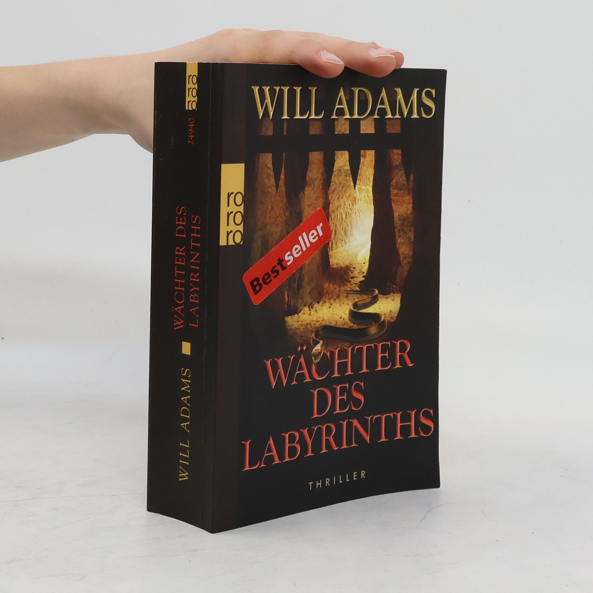 Will Adams Wächter des Labyrinths