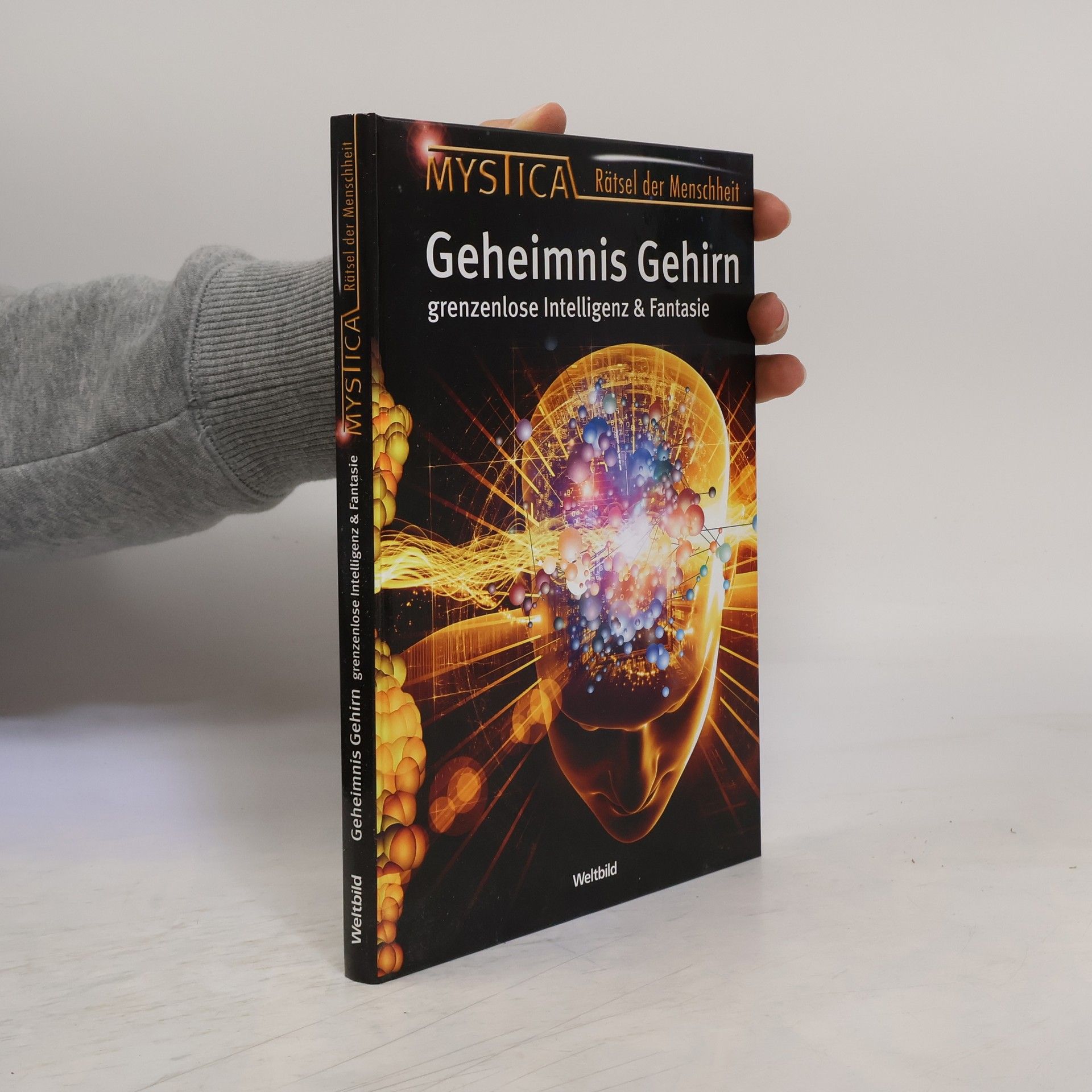 AA.VV. Geheimnis Gehirn