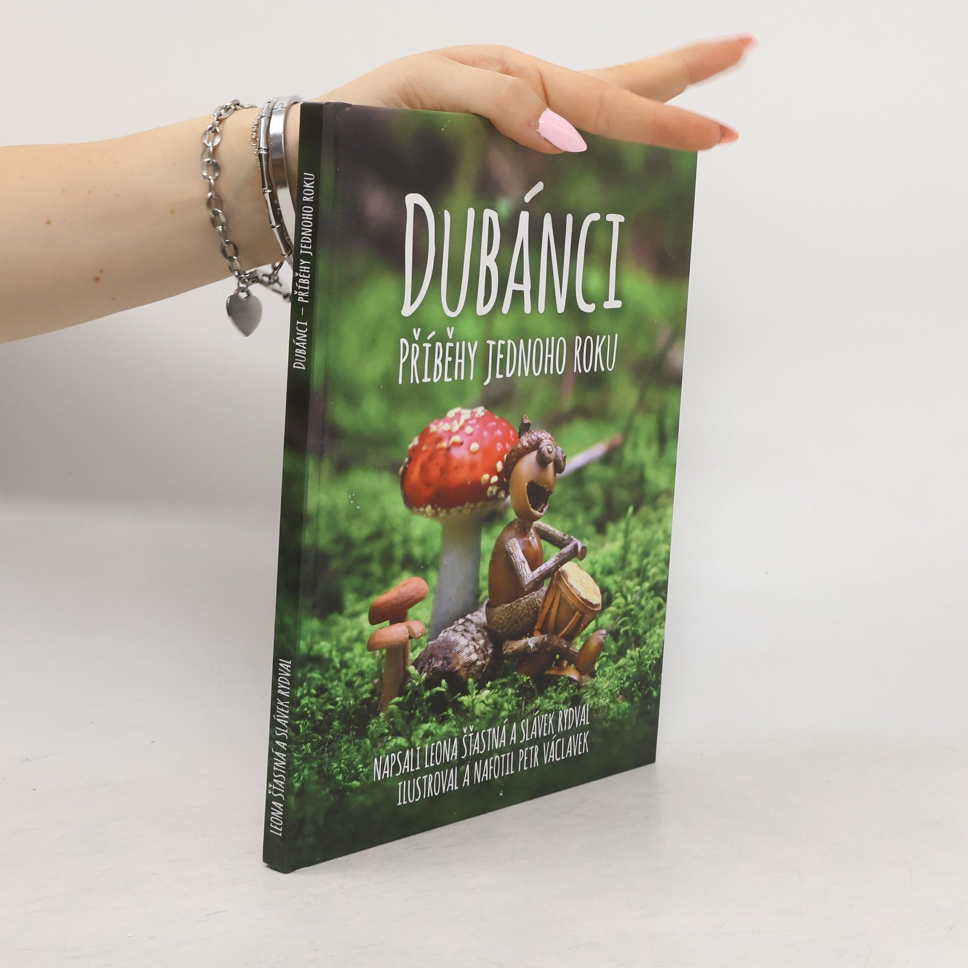 Dubánci: Příběhy jednoho roku