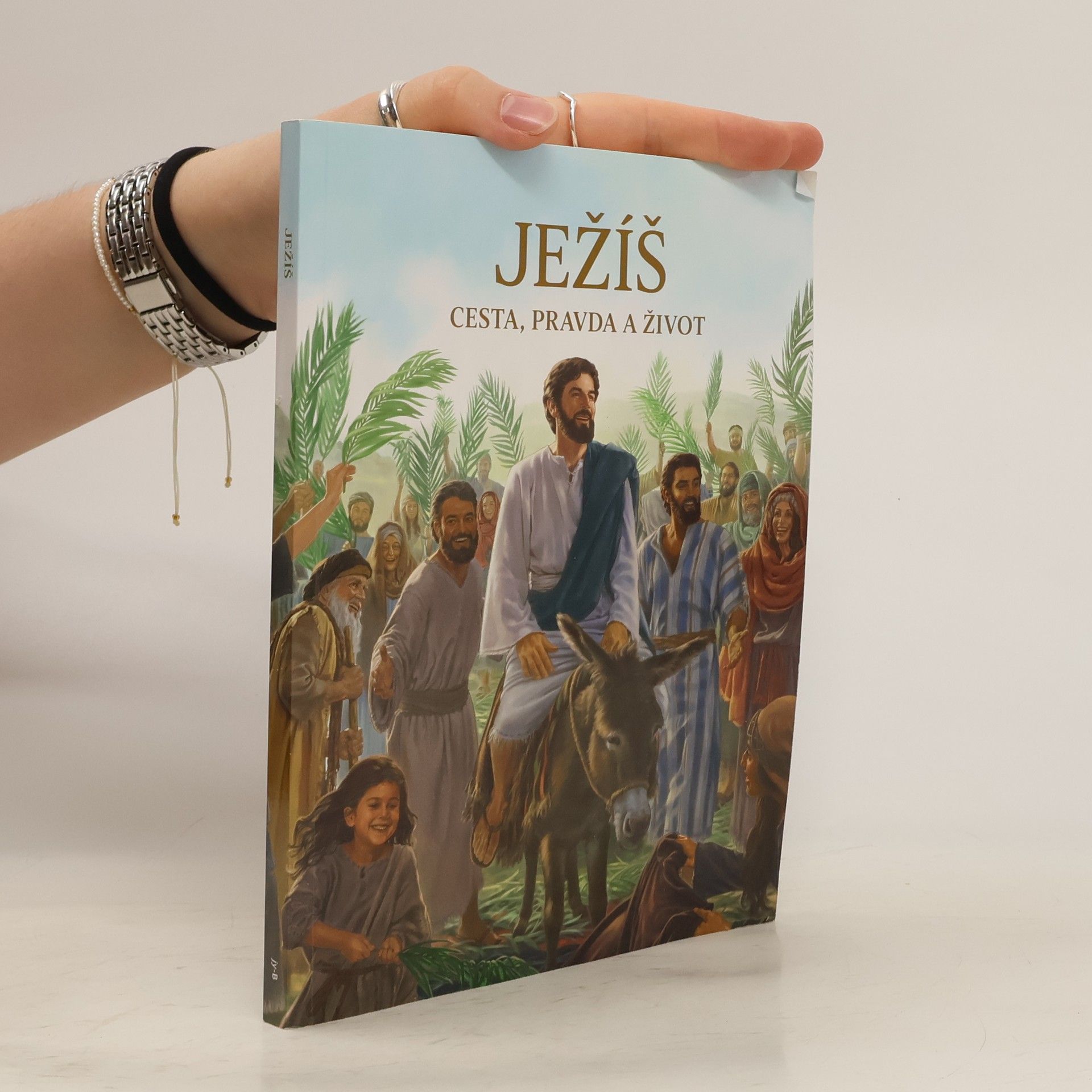 Kolektiv autorů Ježíš, cesta, pravda a život