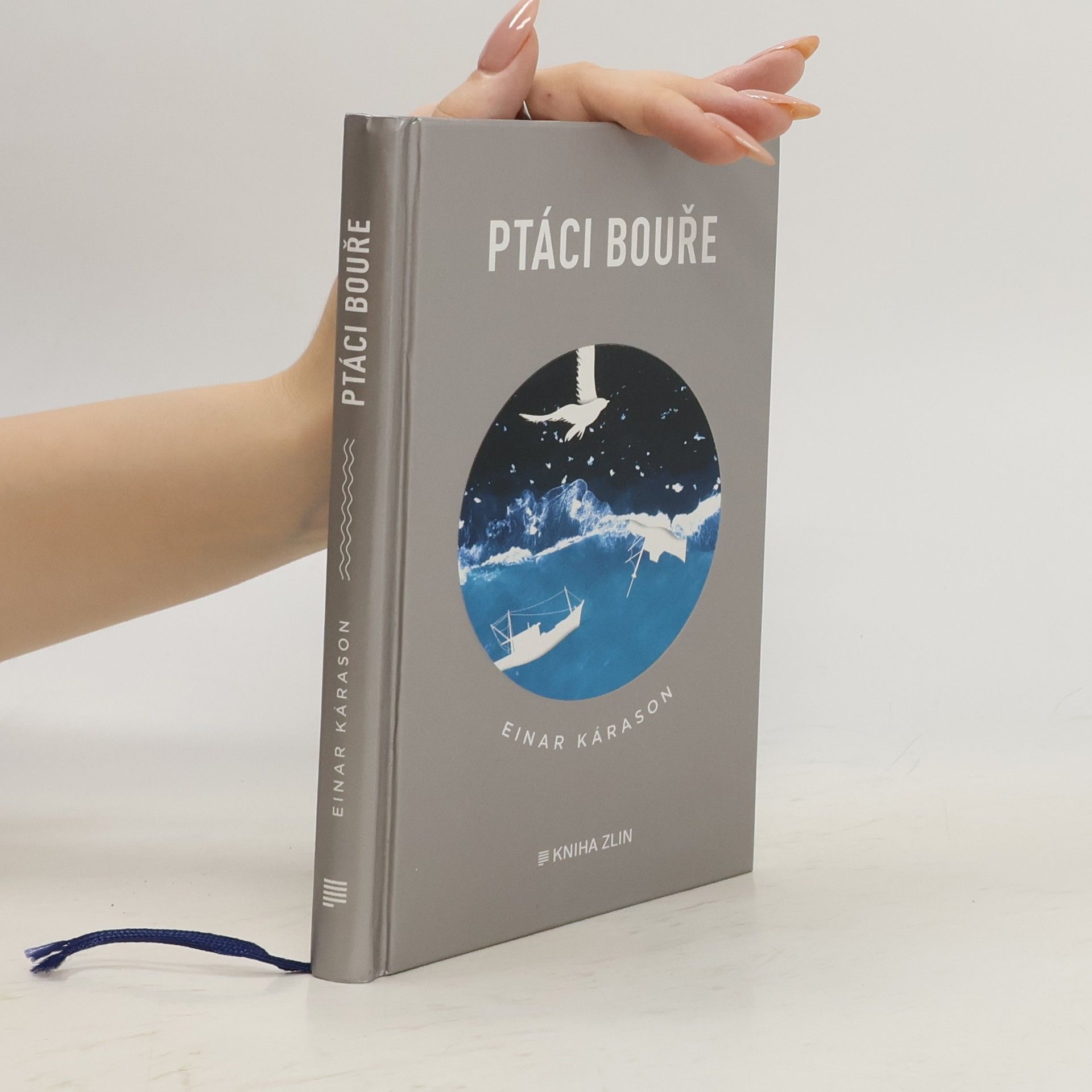 Einar Kárason Ptáci bouře