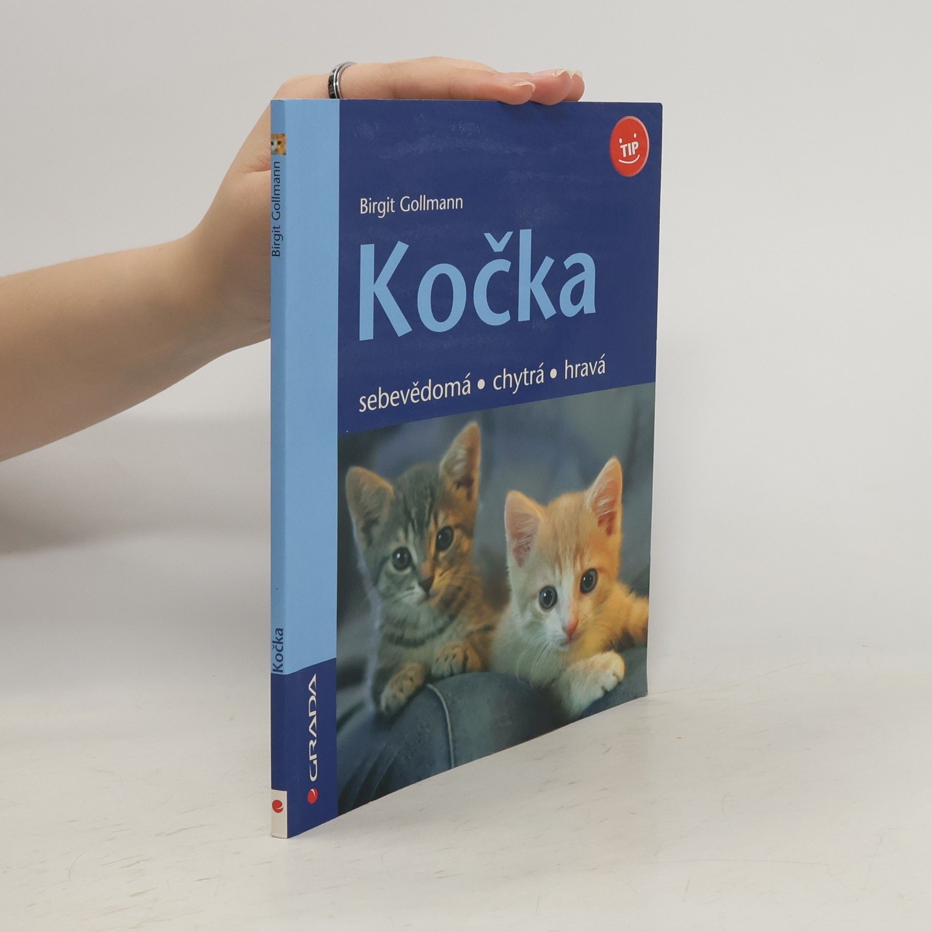 Kočka - sebevědomá, chytrá, hravá