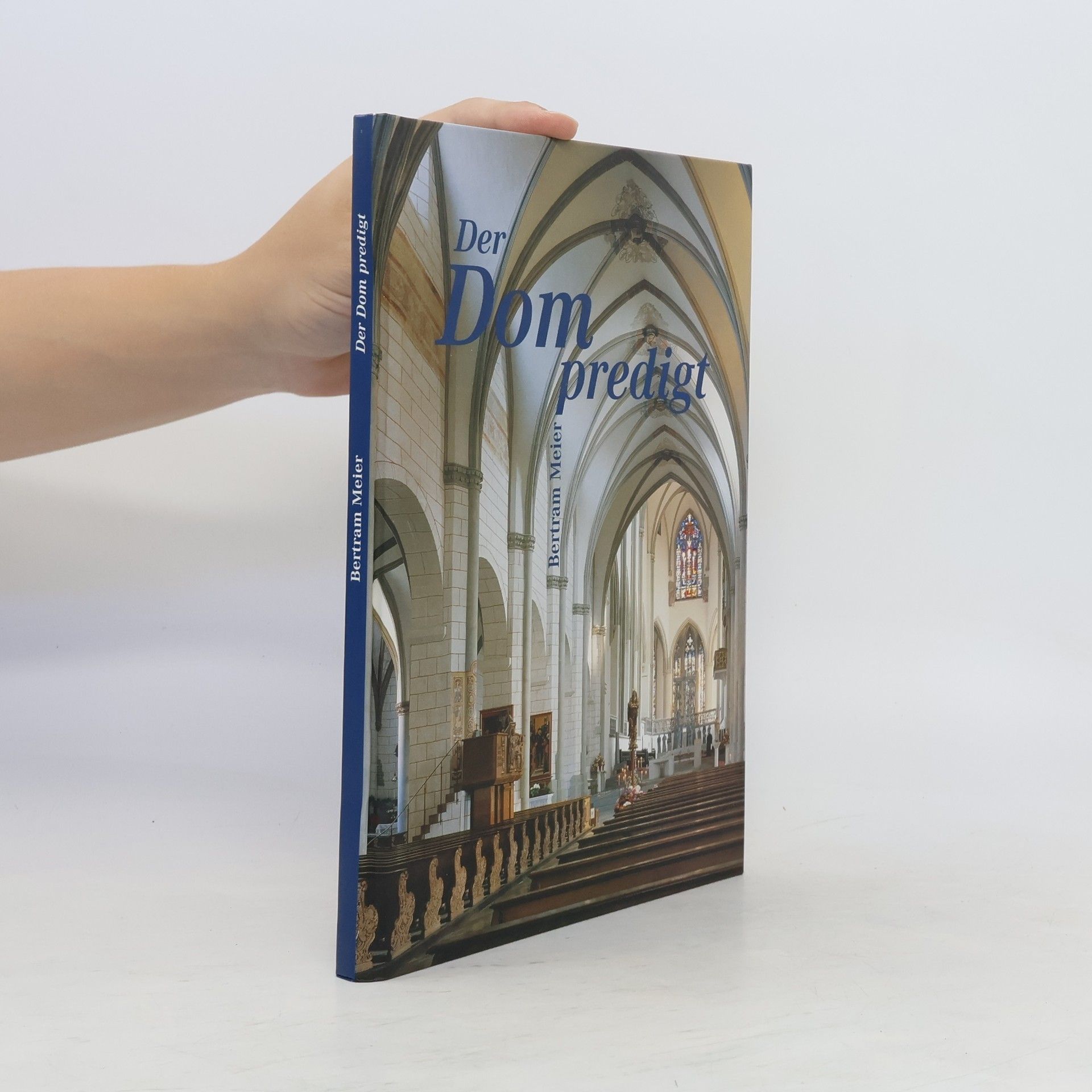 Bertram Johannes Meier Der Dom predigt