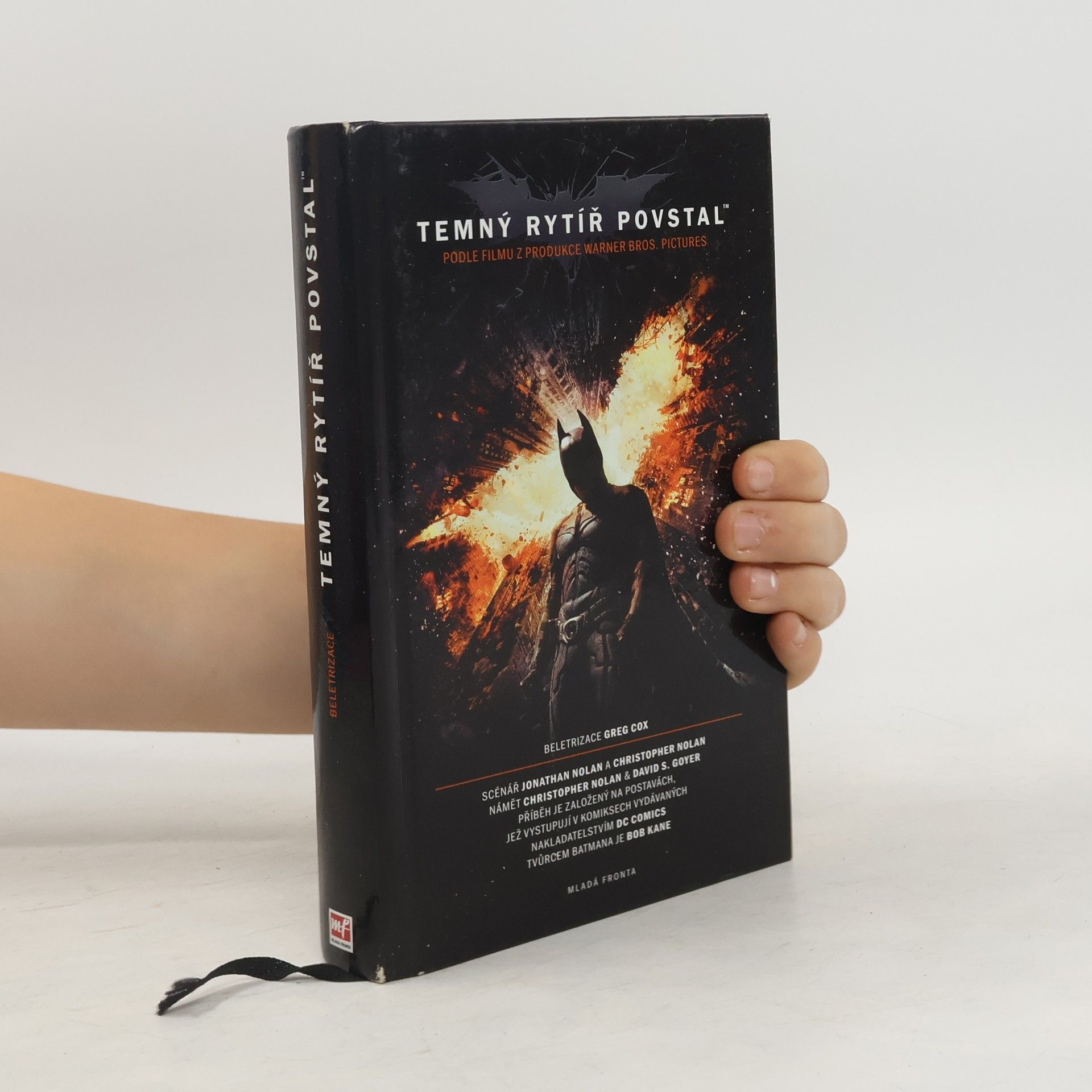 David S. Goyer Temný rytíř povstal: Oficiální beletrizace filmu