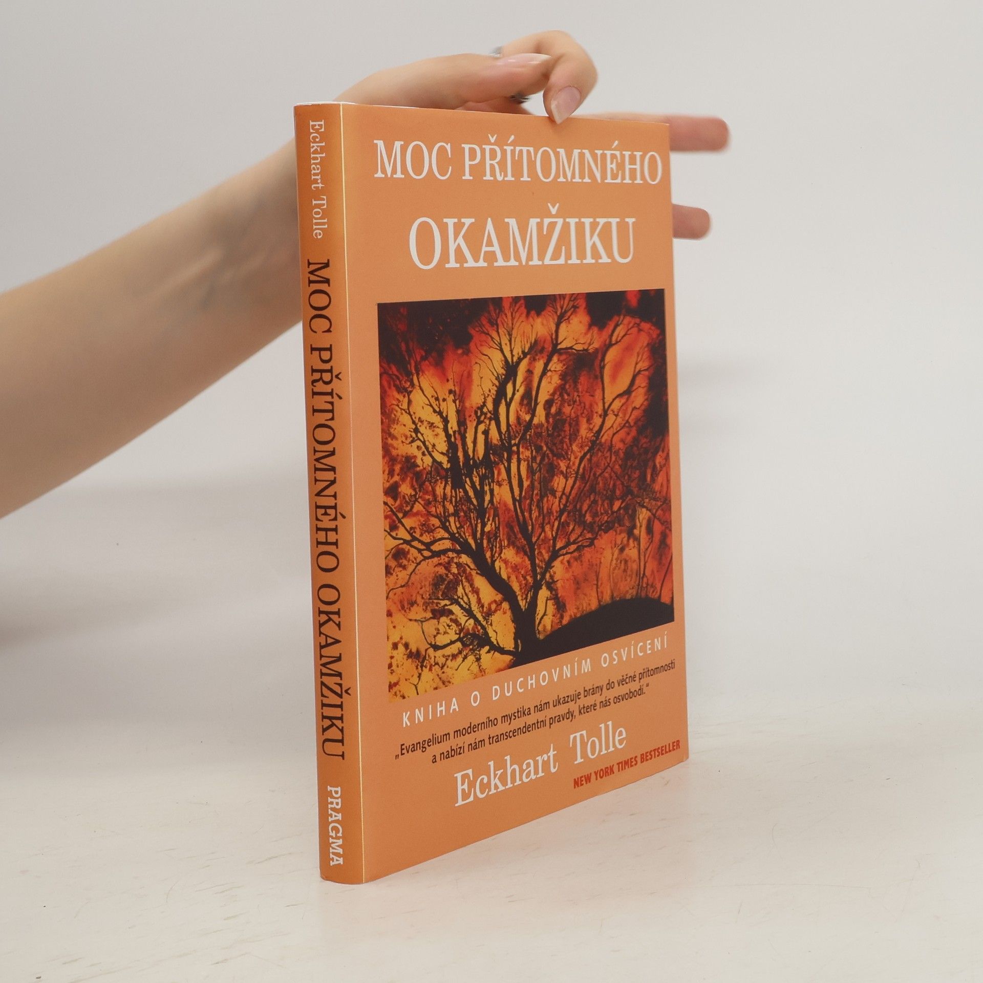 Moc přítomného okamžiku