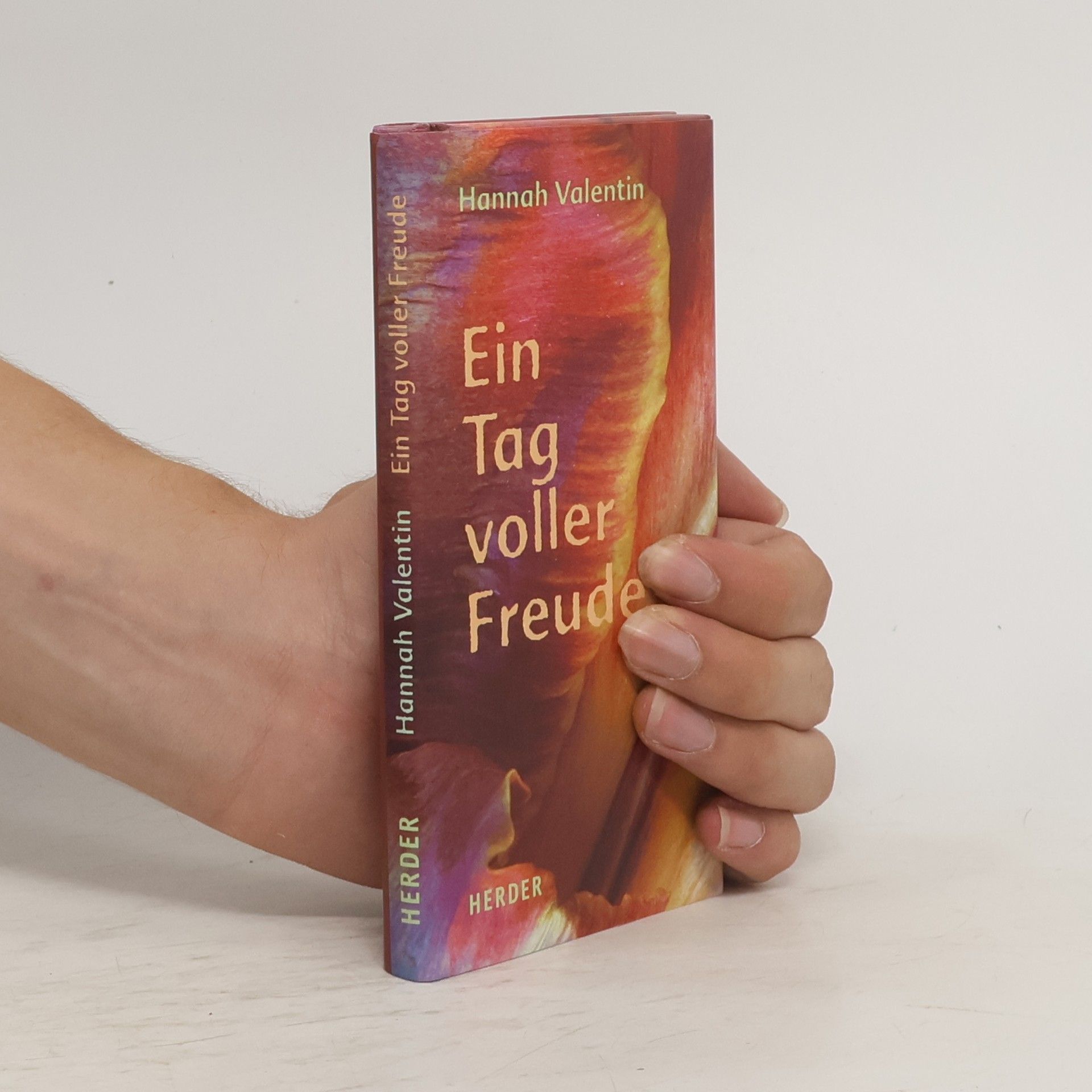 Hannah Valentin Ein Tag voller Freude