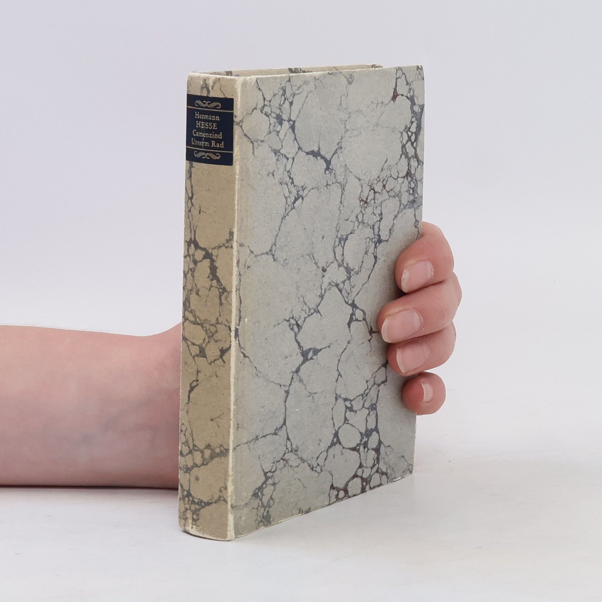 Hermann Hesse Camenzind Unterm Rad