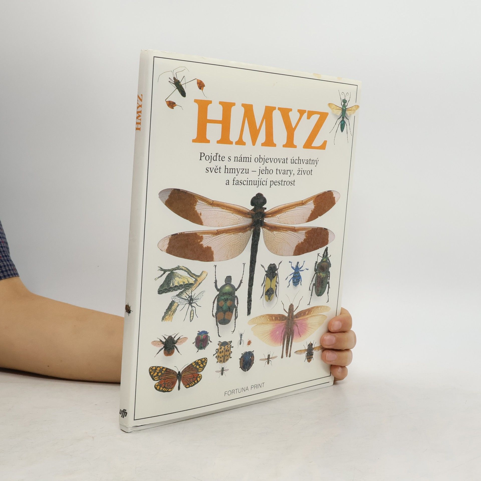 Kolektiv autorů Hmyz