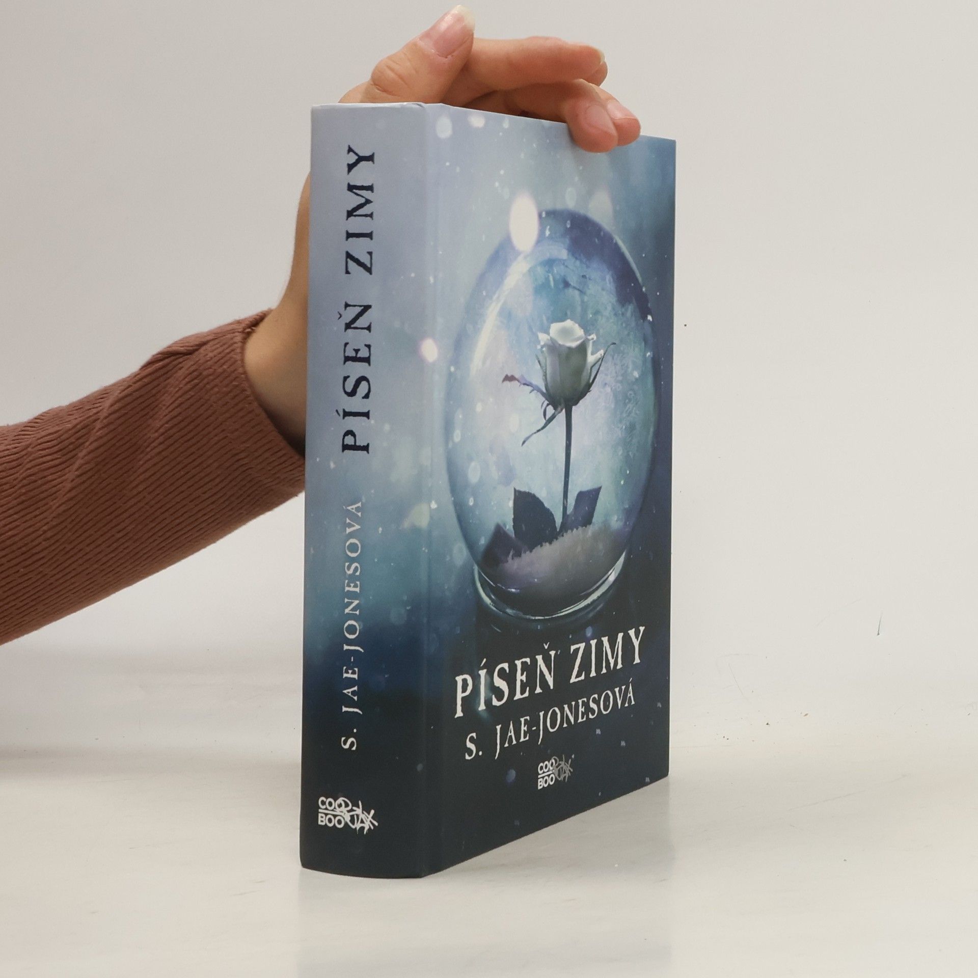 S. Jae-Jones Píseň zimy