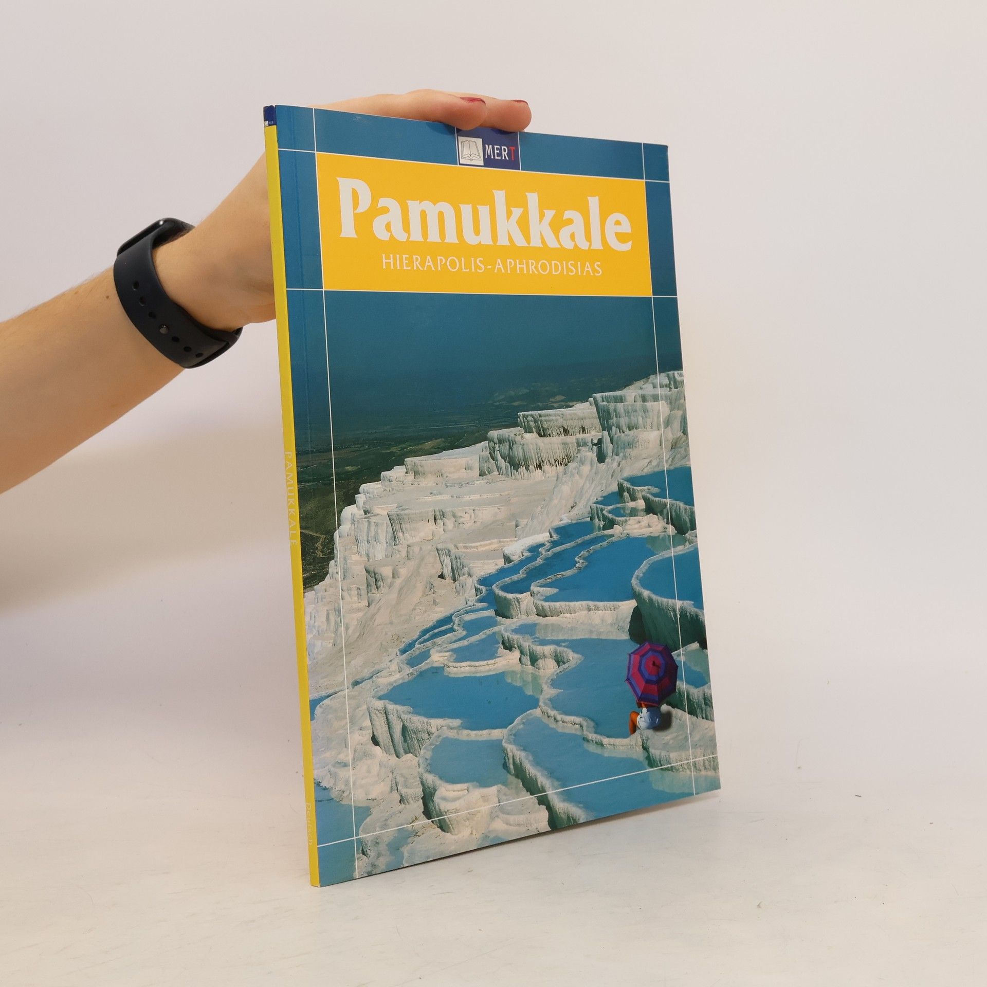 Collectif d'auteurs Pamukkale. Hierapolis-Aphrodisias