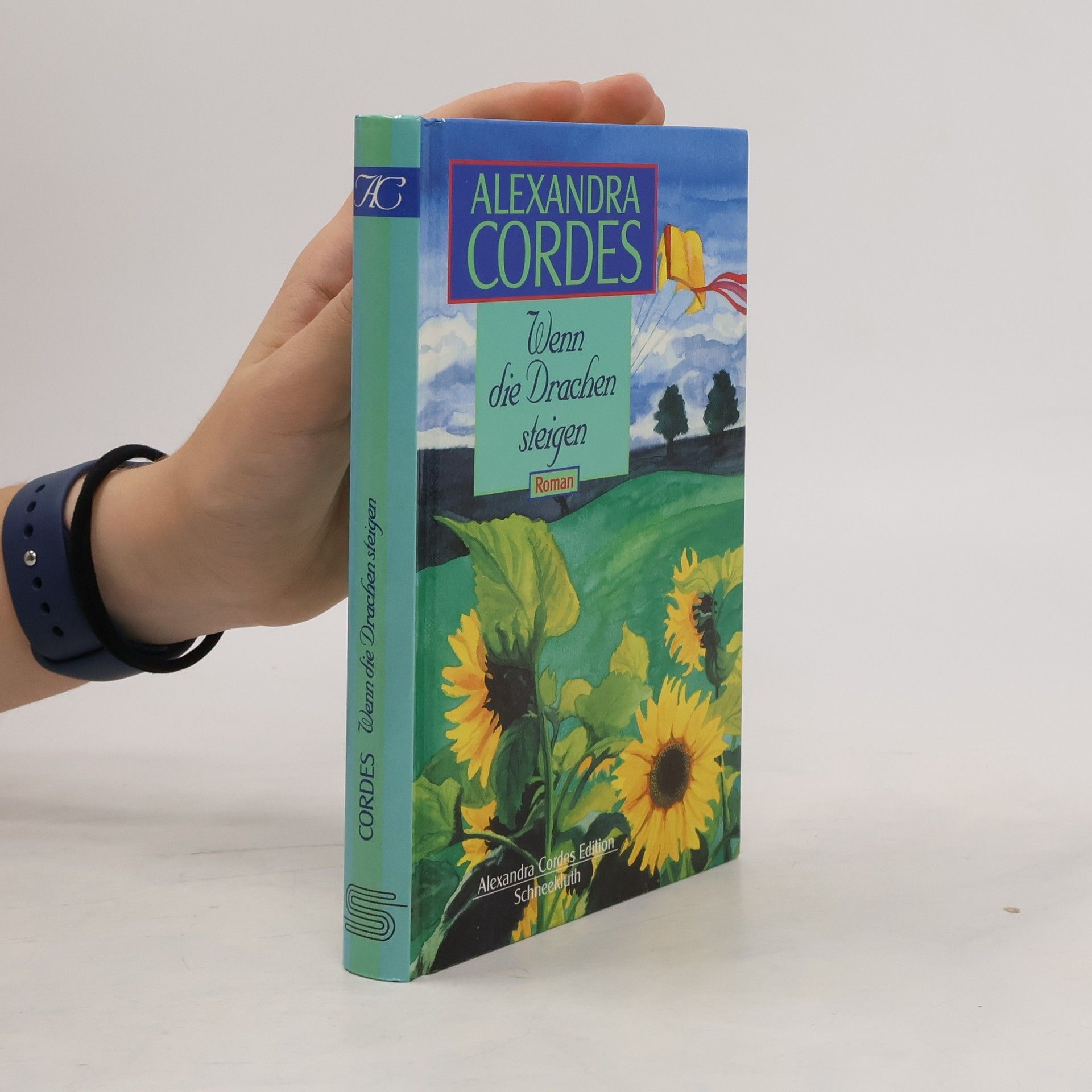 Wenn die Drachen steigen