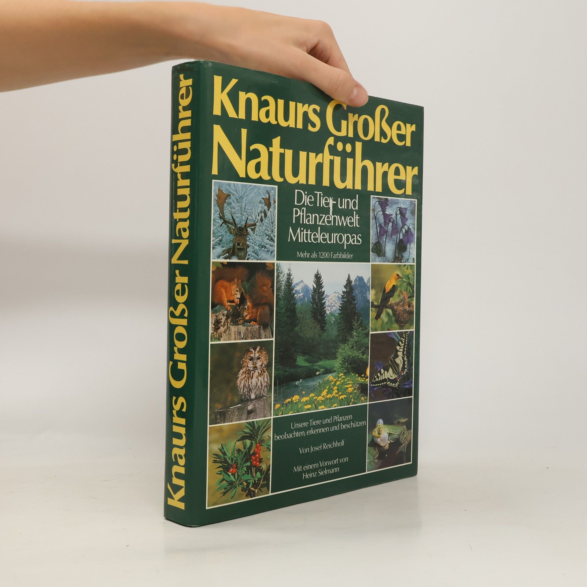 Rosina Fechter Knaurs Großer Naturführer. Die Tier- und Pflanzenwelt Mitteleuropas