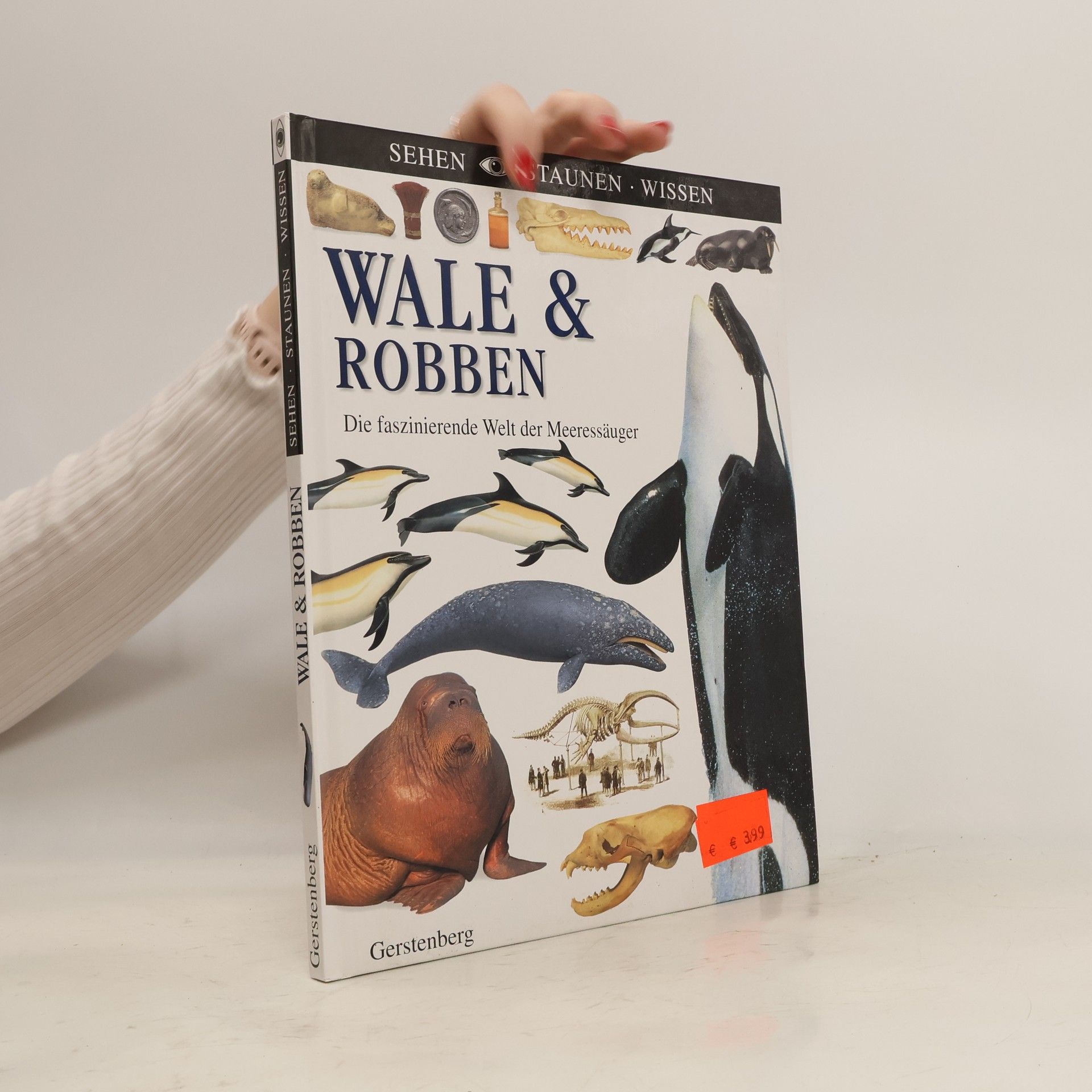 Vassili Papastavrou Wale & Robben