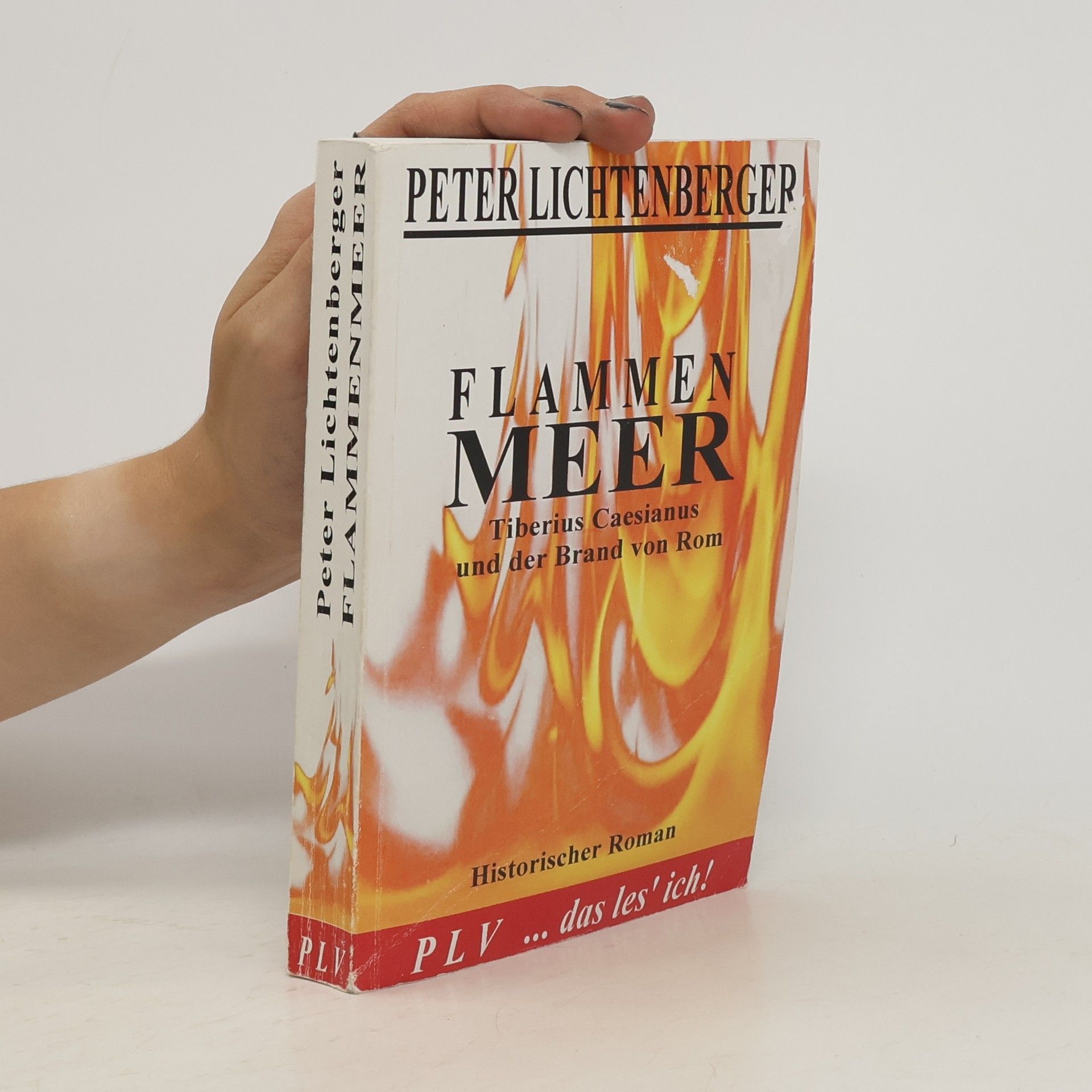 Peter Lichtenberger Flammenmeer