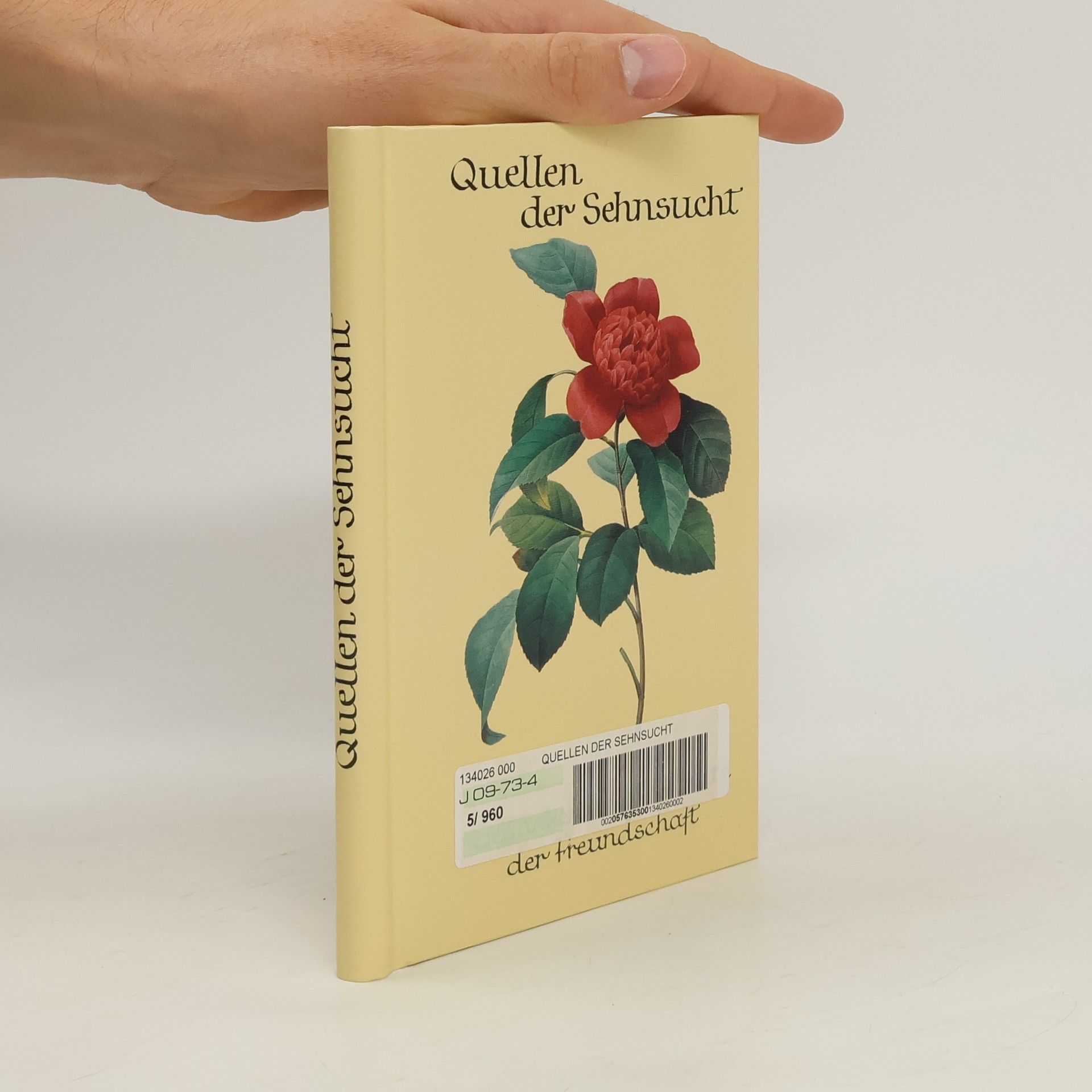 Autorenkollektiv Quellen der Sehnsucht