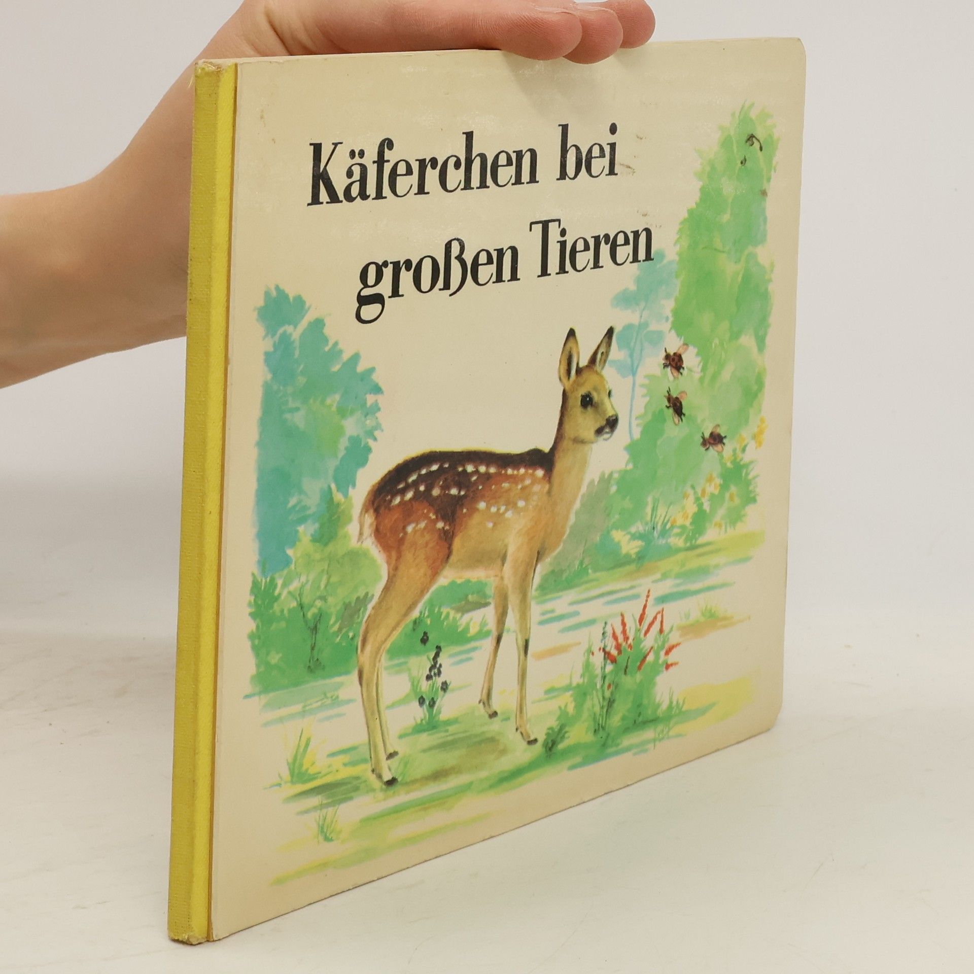 kolektiv Käferchen bei großen Tieren