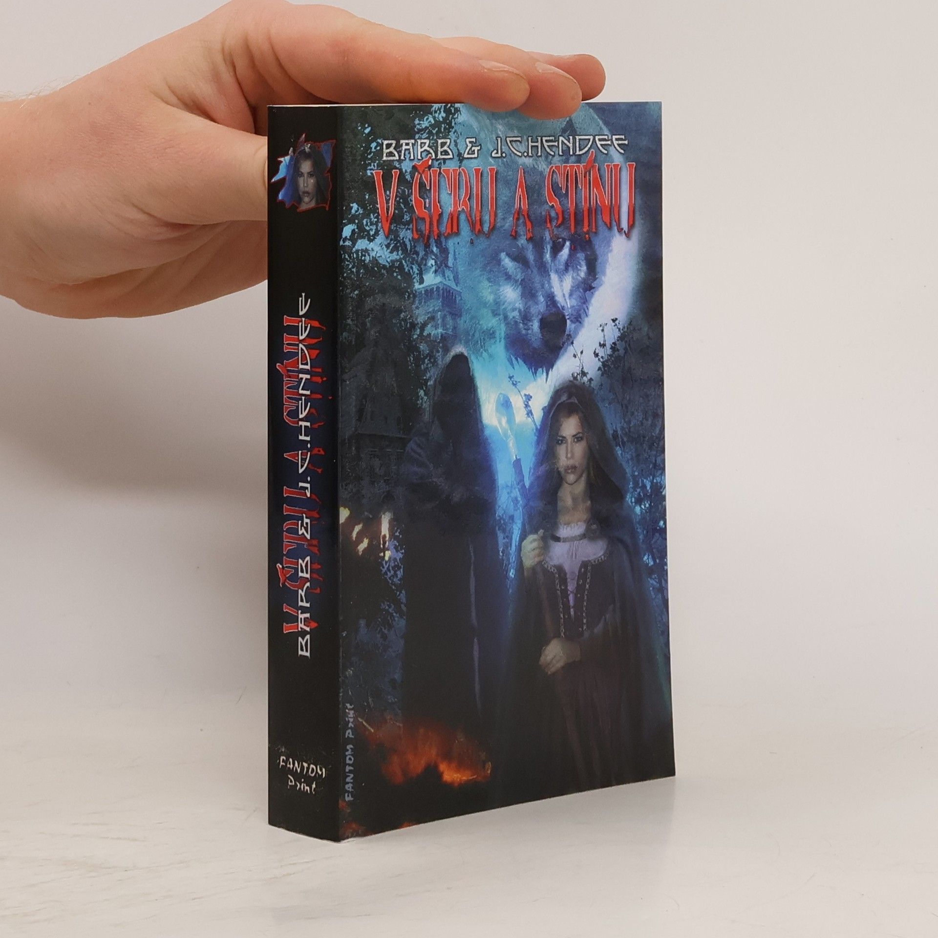 Barb Hendee V šeru a stínu