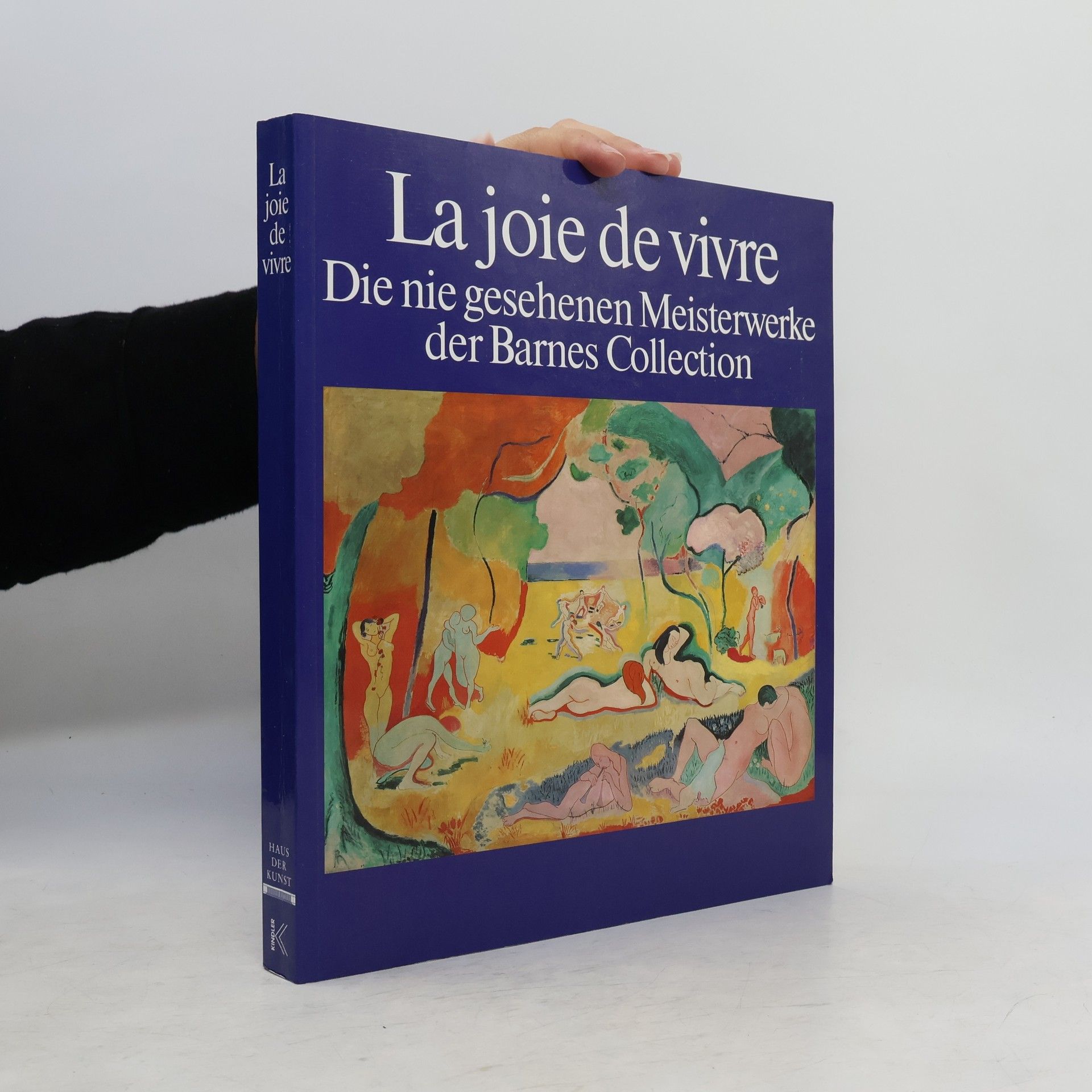 Collectif d'auteurs La joie de vivre. Die nie gesehenen Meisterwerke der Barnes Collection