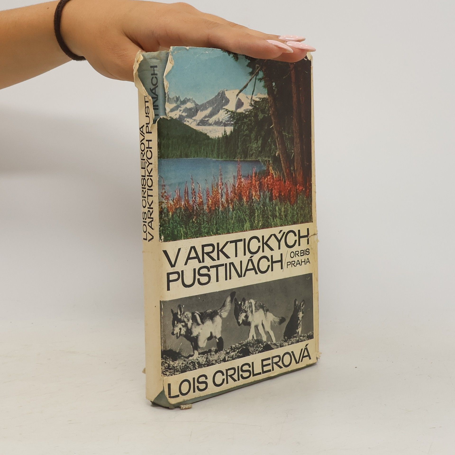 Lois Crisler V Arktických pustinách