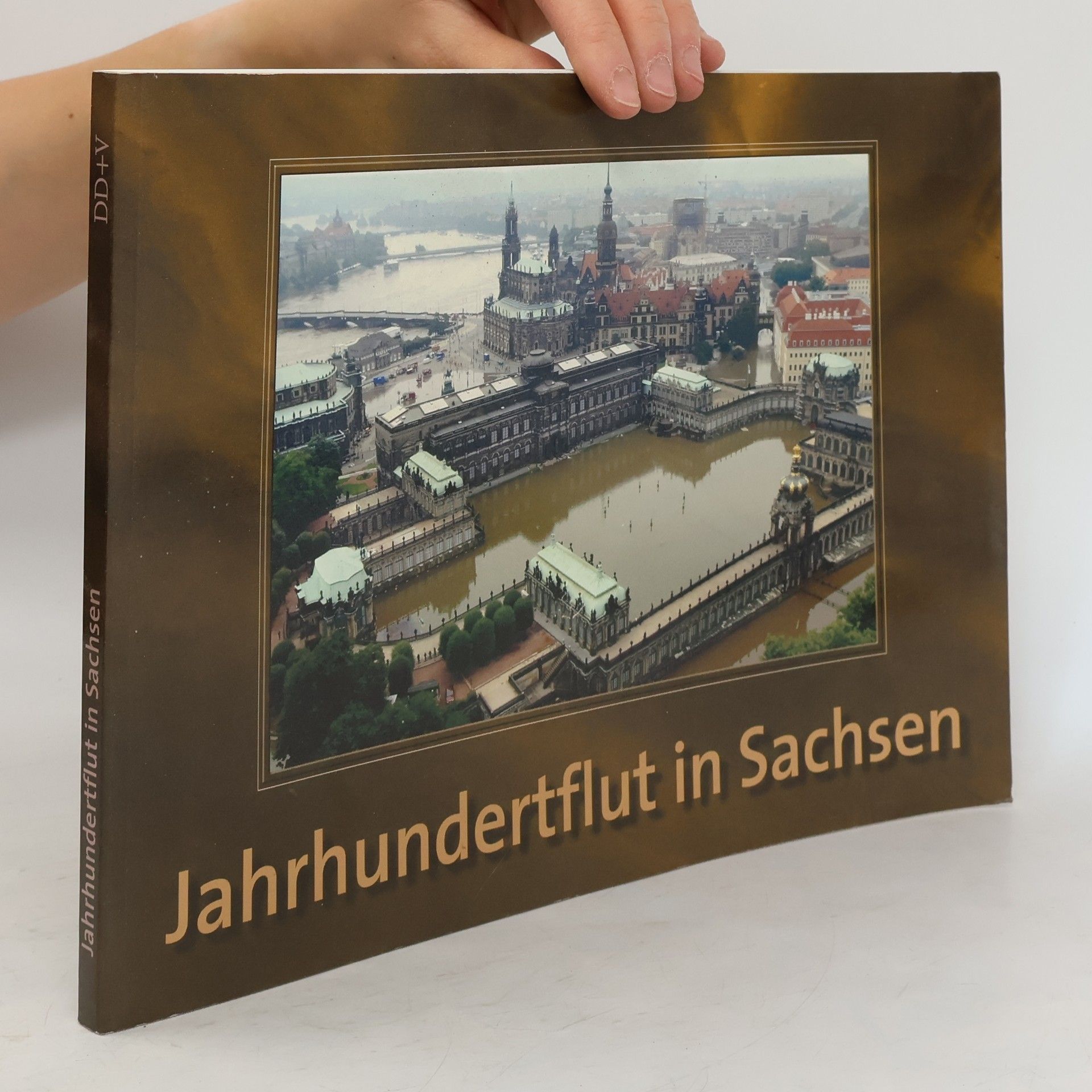 Monika Dänhardt Jahrhundertflut in Sachsen