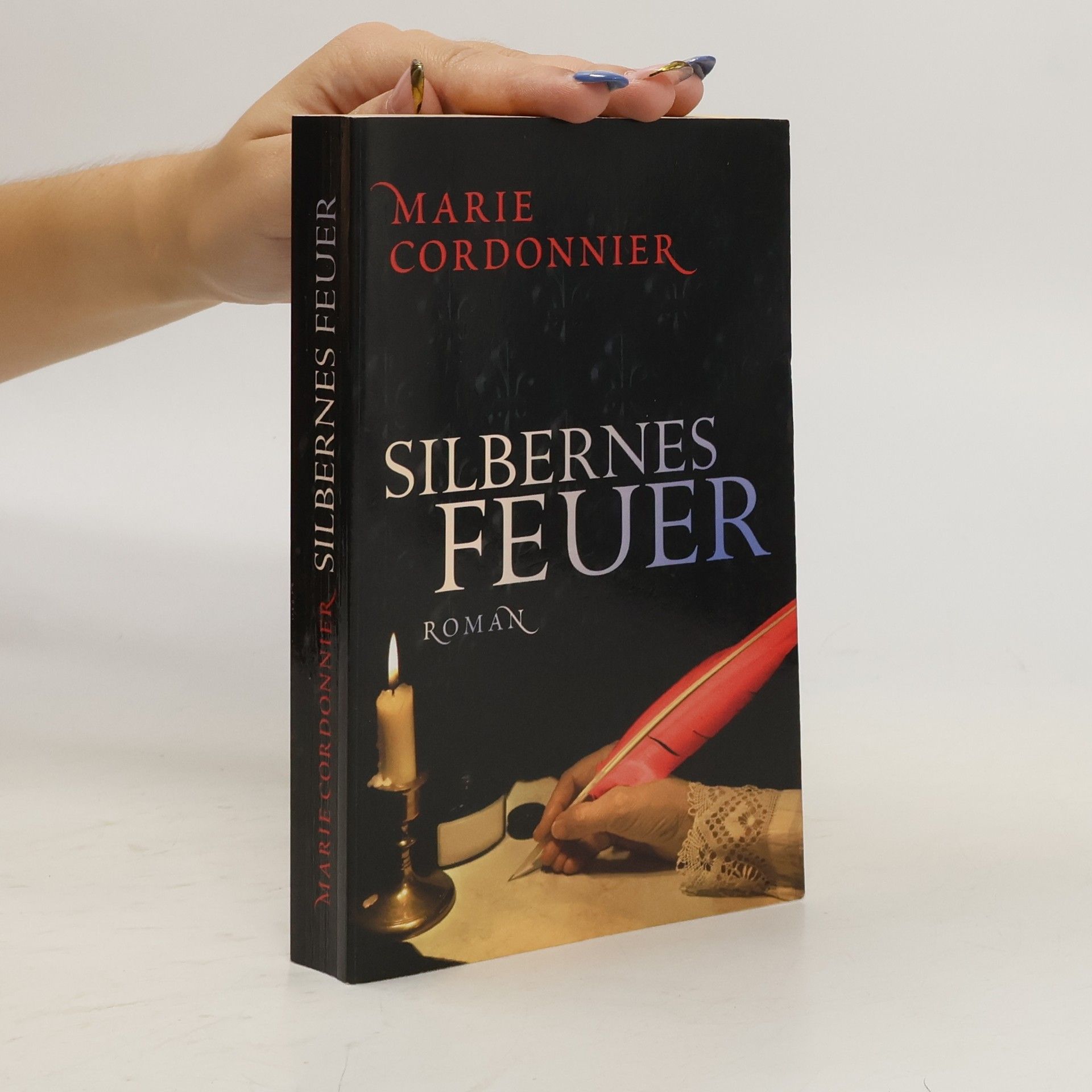 Marie Cordonnier Silbernes Feuer. Roman