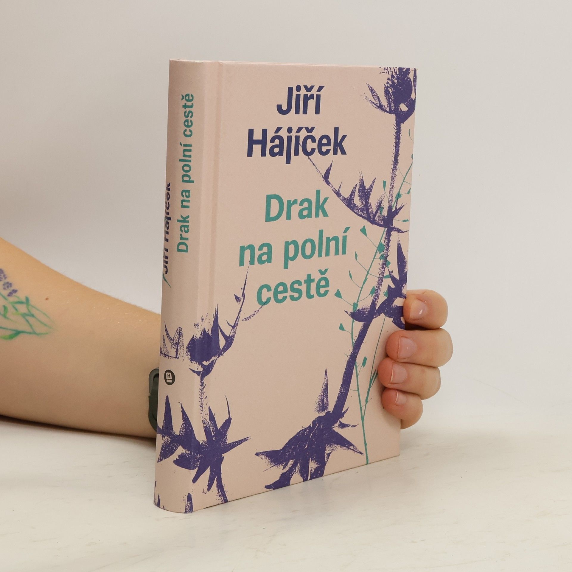 Jiří Hájíček Drak na polní cestě