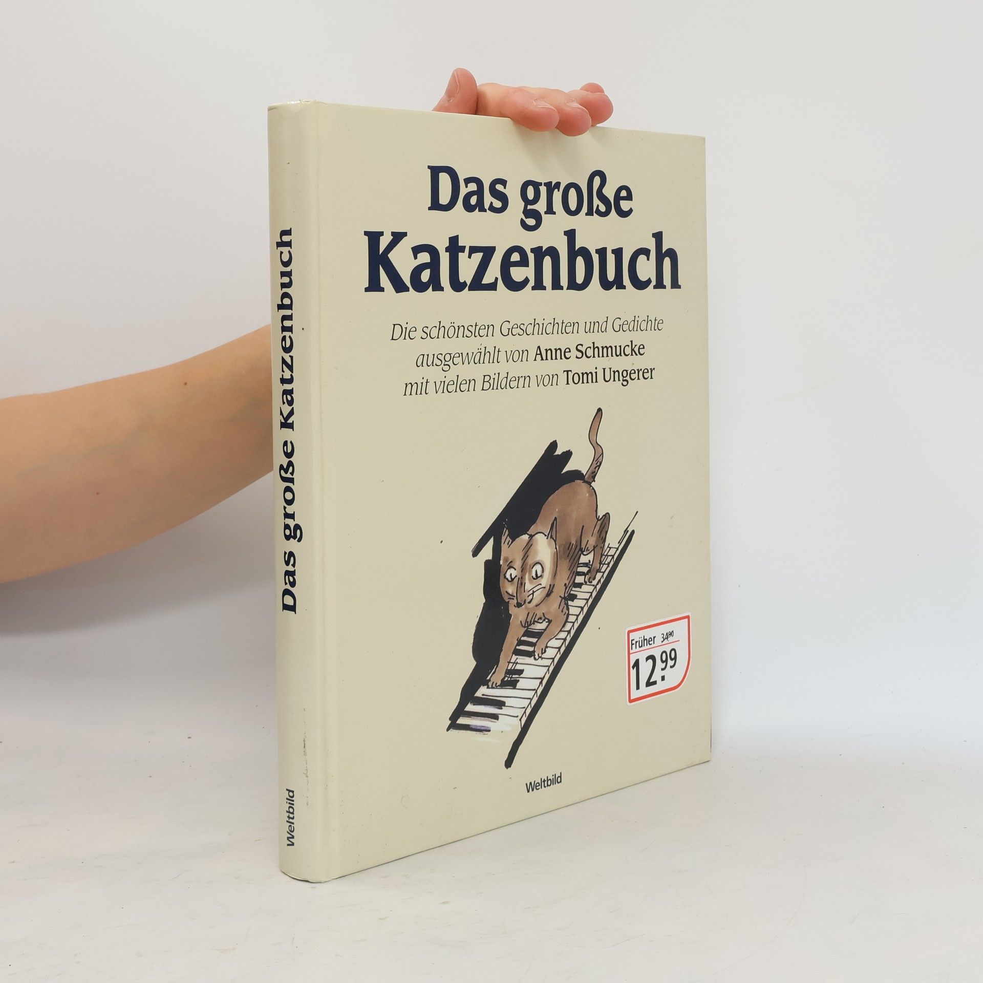Das große Katzenbuch
