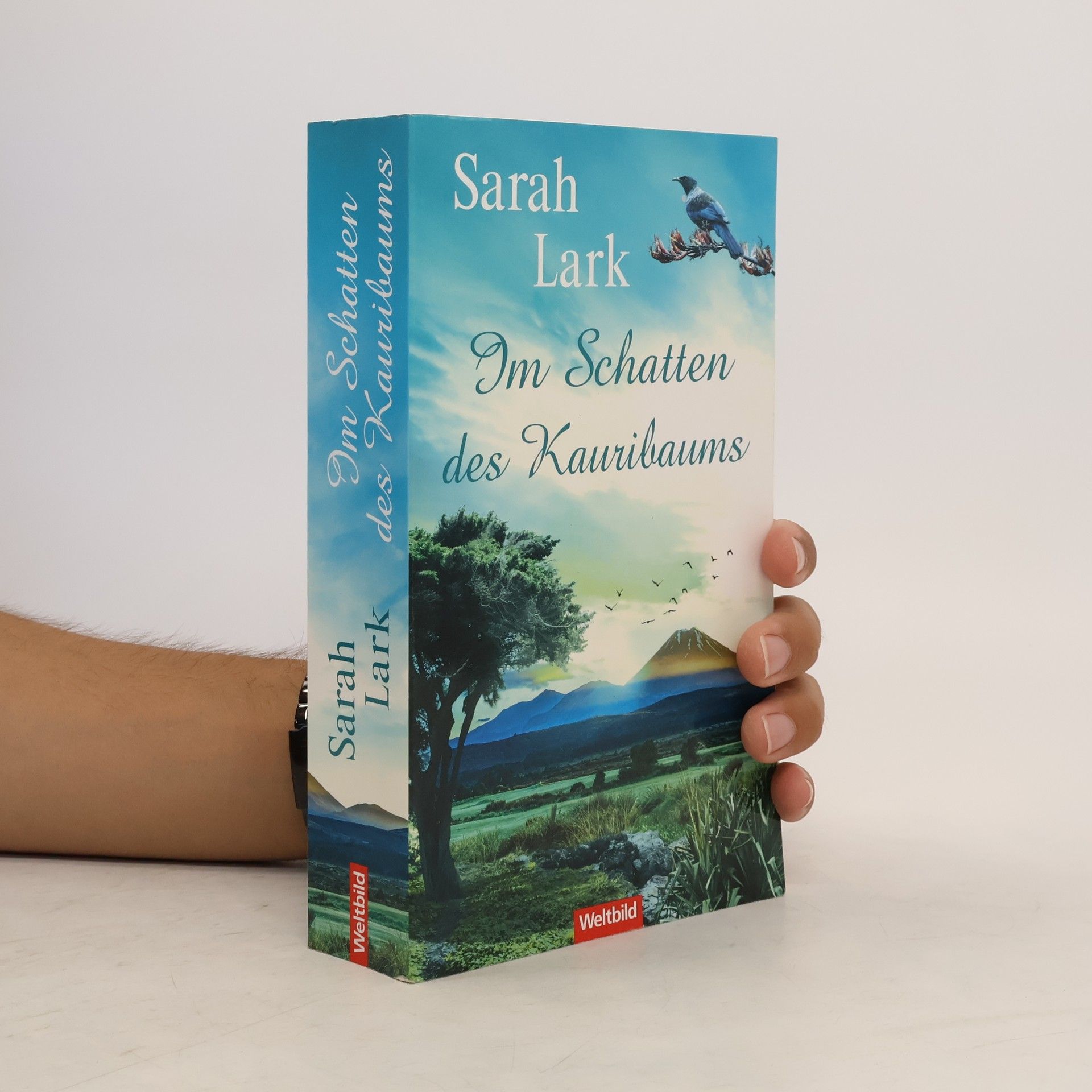 Christiane Gohl Im Schatten des Kauribaums