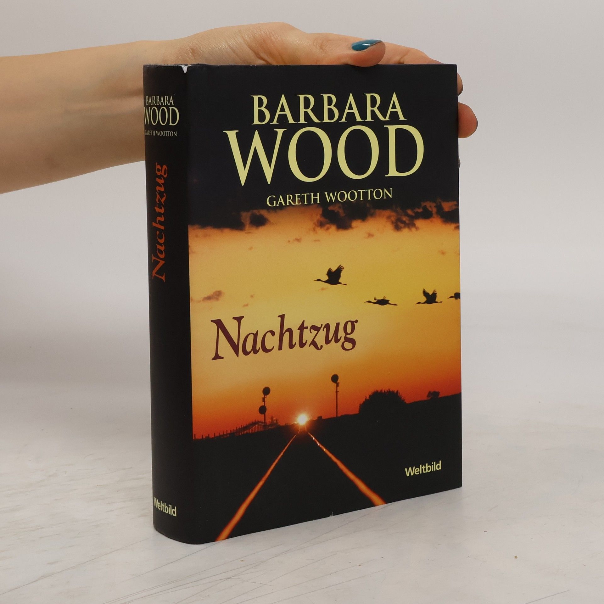 Barbara Wood Nachtzug