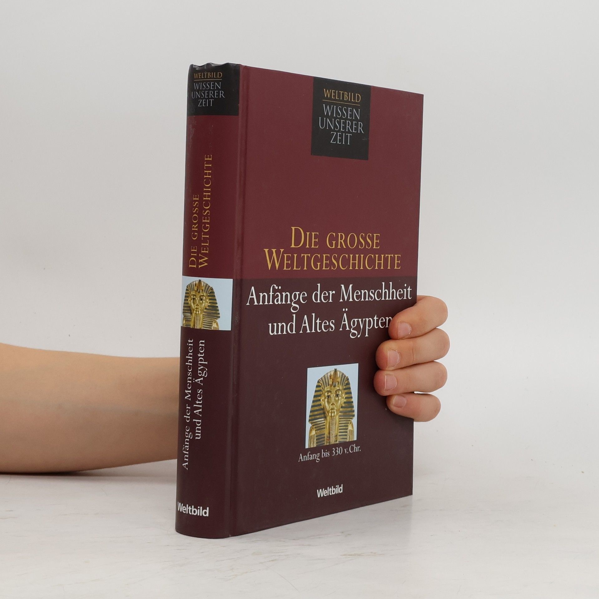 Kolektív autorov Die grosse Weltgeschichte: Anfänge der Menschheit und Altes Ägypten
