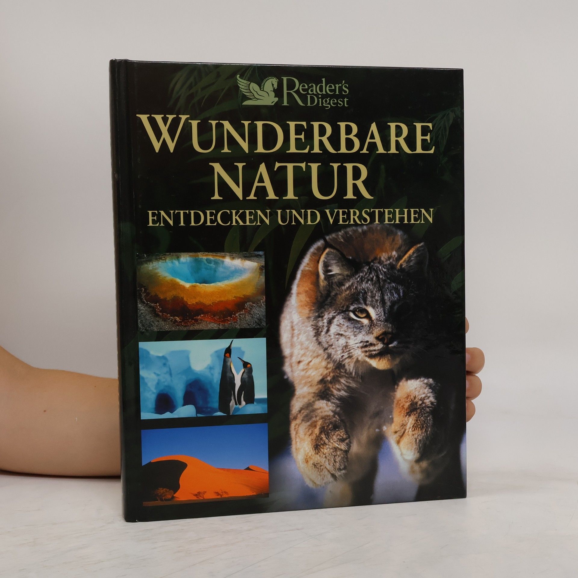 Barbara Locher Wunderbare Natur entdecken und verstehen